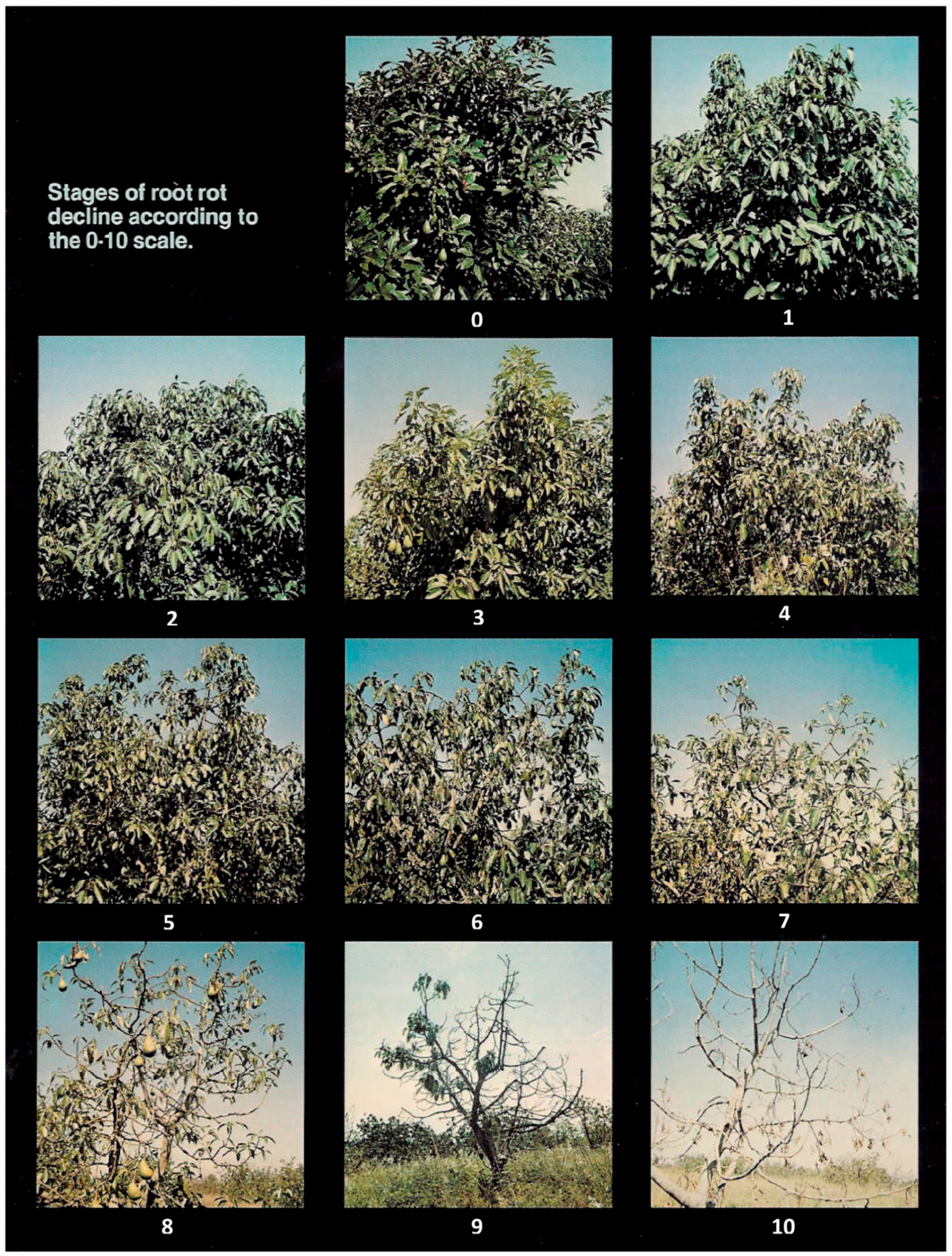 Remotesensing 10 00226 g001