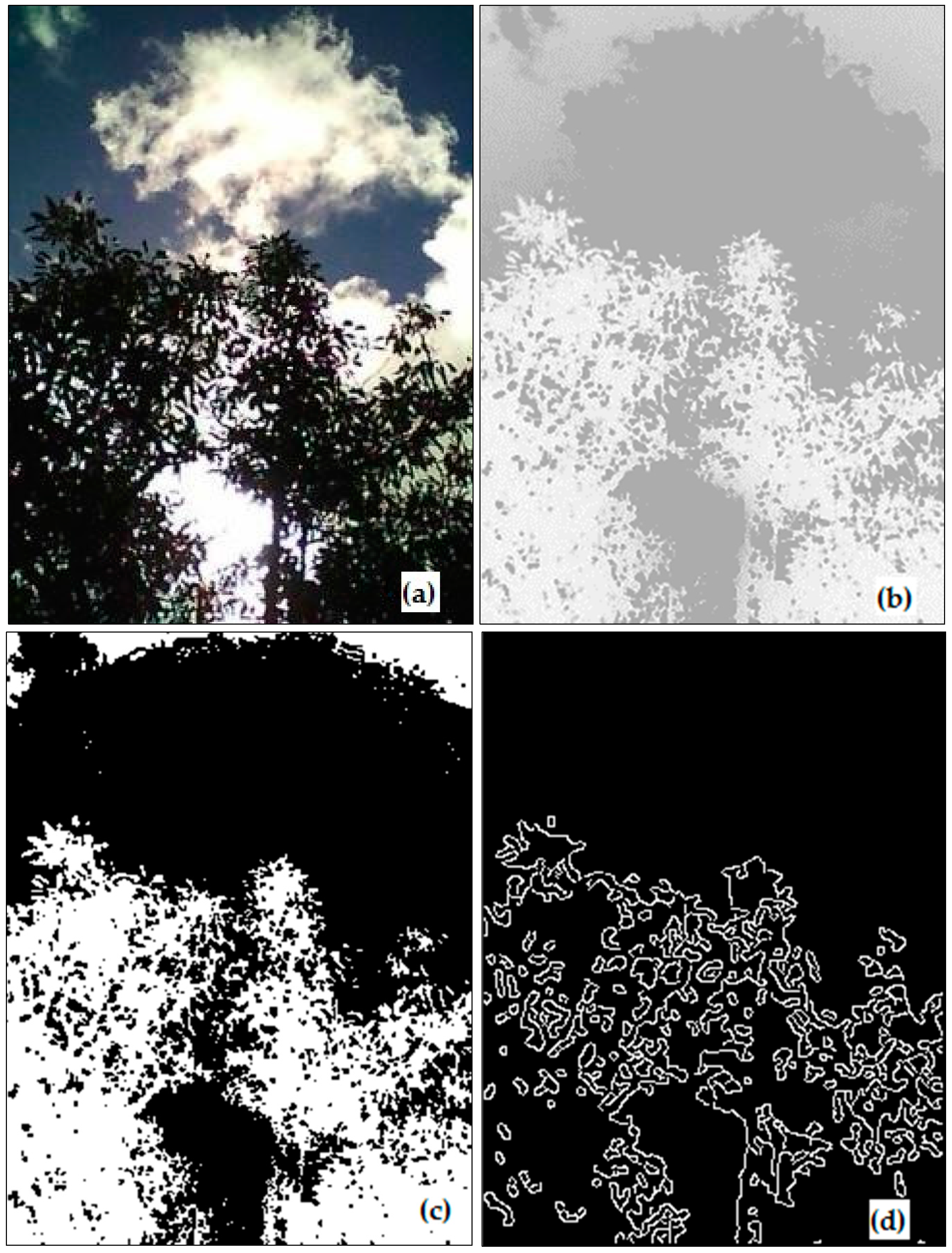 Remotesensing 10 00226 g002