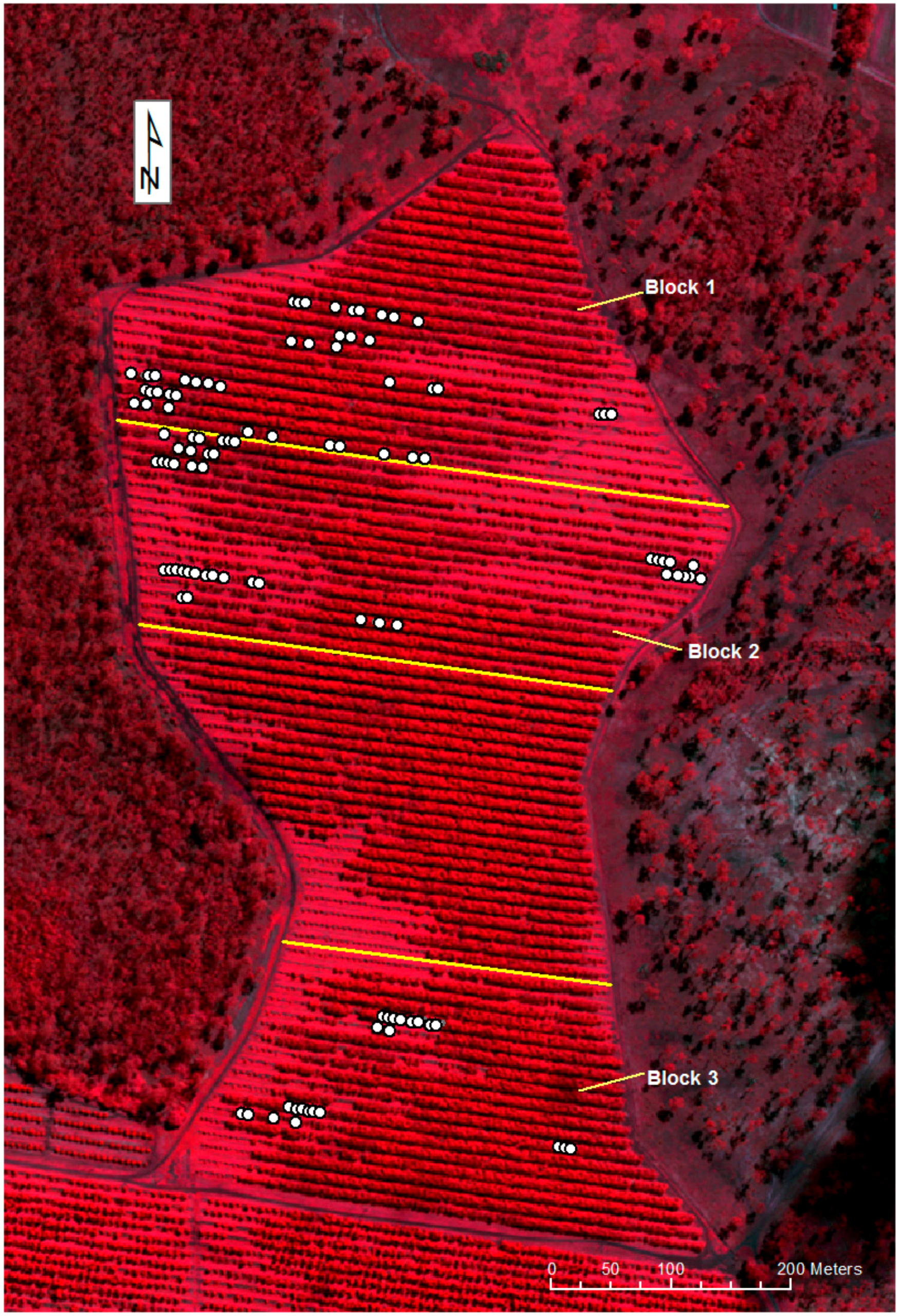 Remotesensing 10 00226 g004