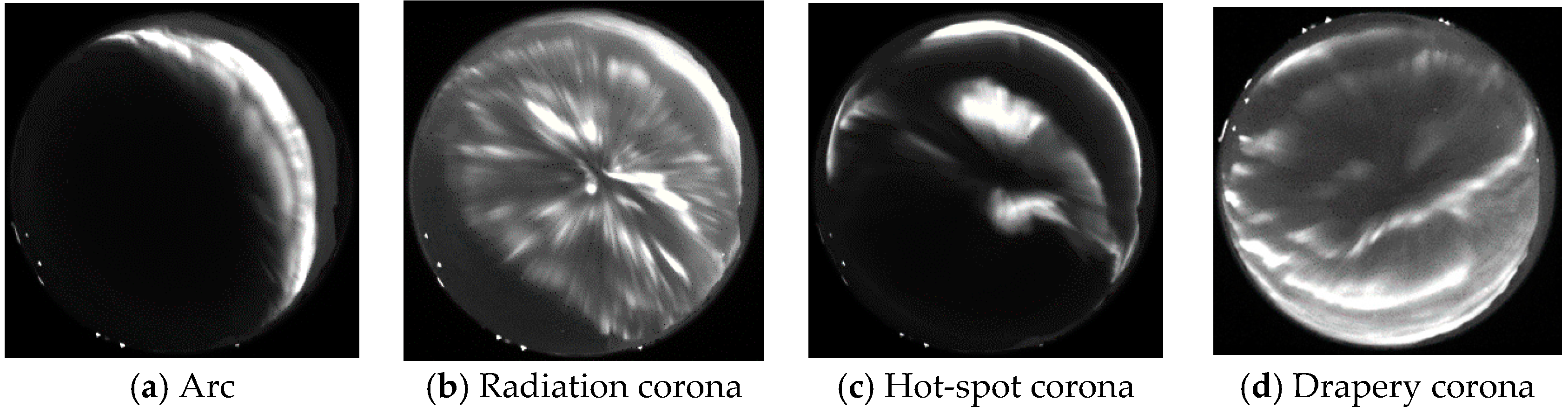 Remotesensing 10 00233 g002