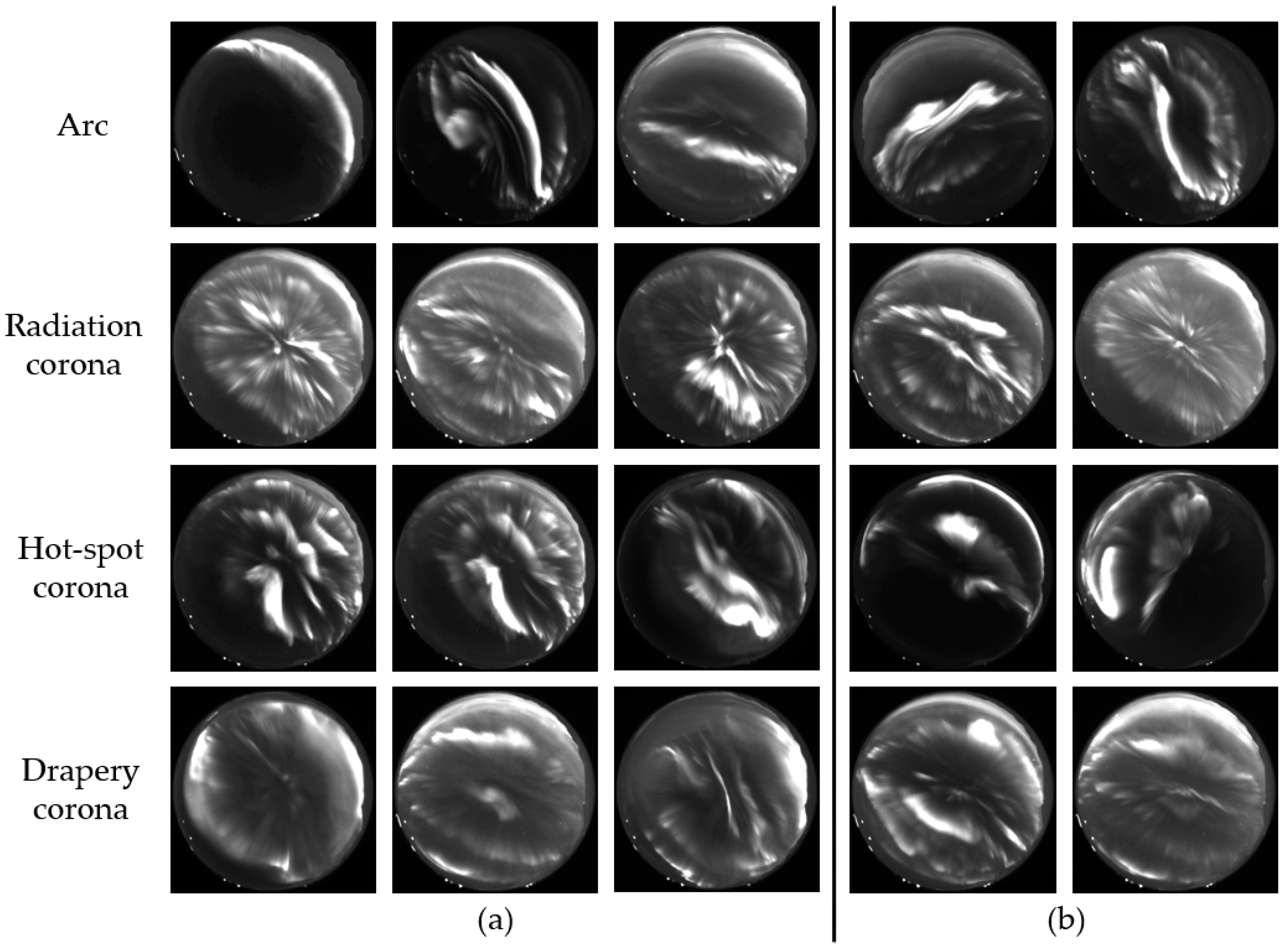 Remotesensing 10 00233 g009