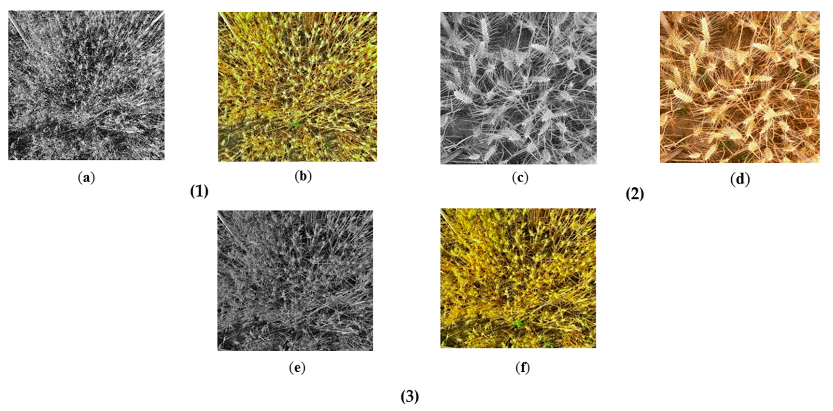 Remotesensing 10 00246 g005