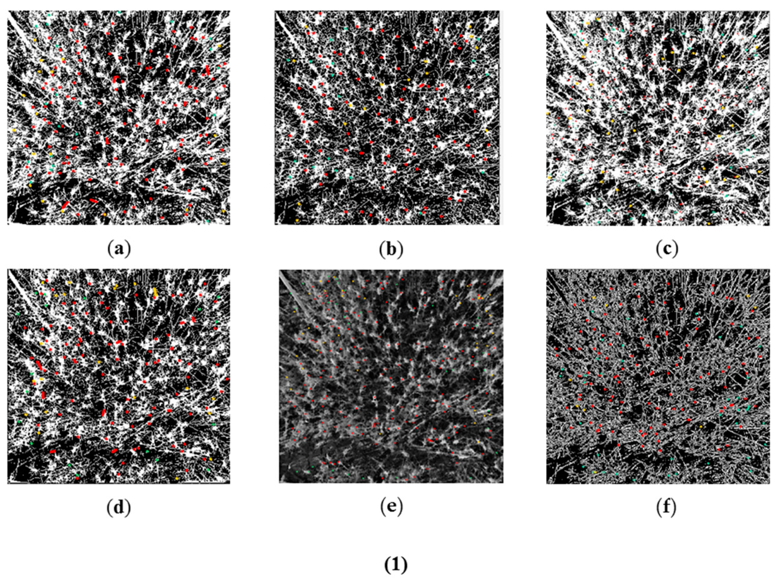Remotesensing 10 00246 g006a