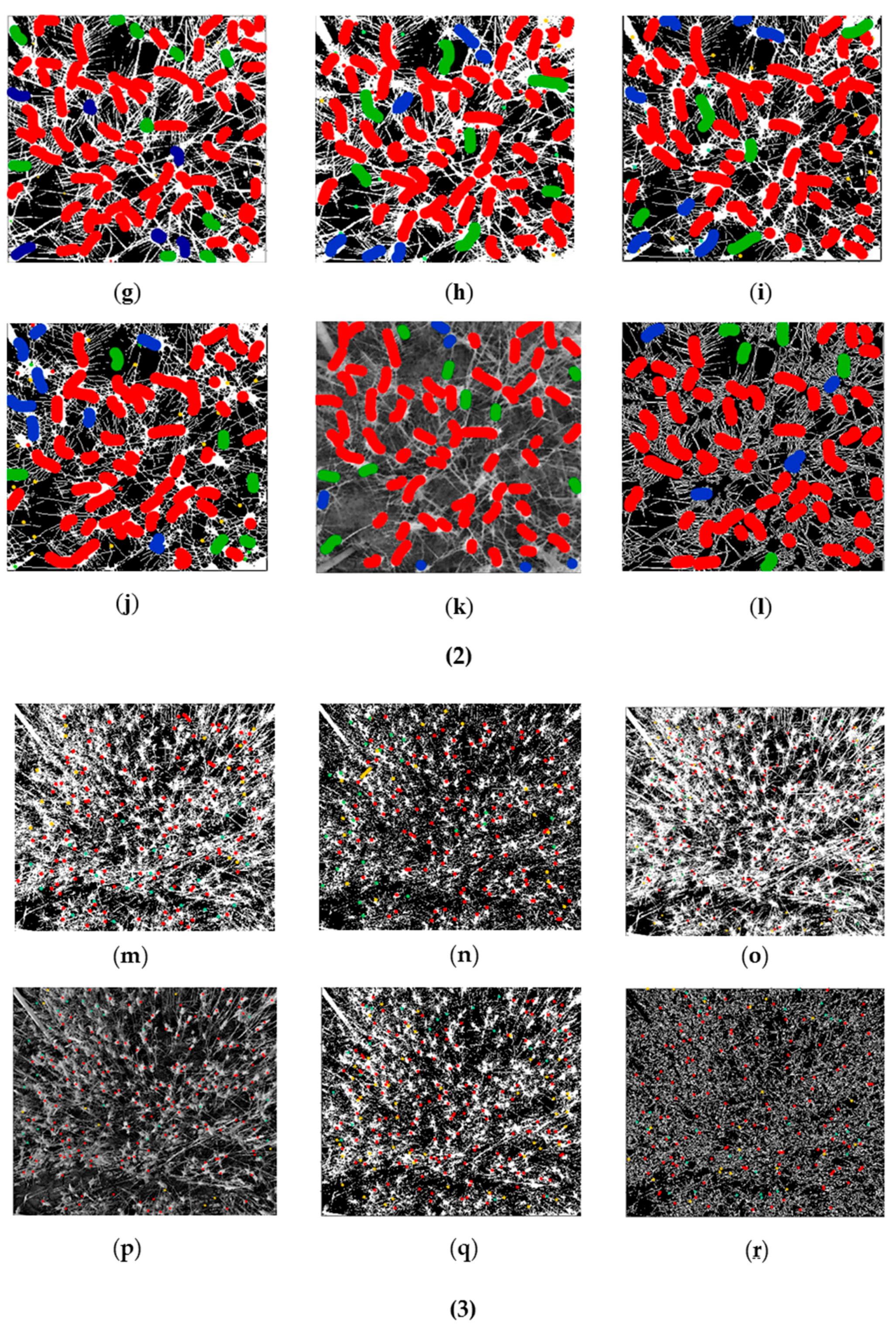 Remotesensing 10 00246 g006b