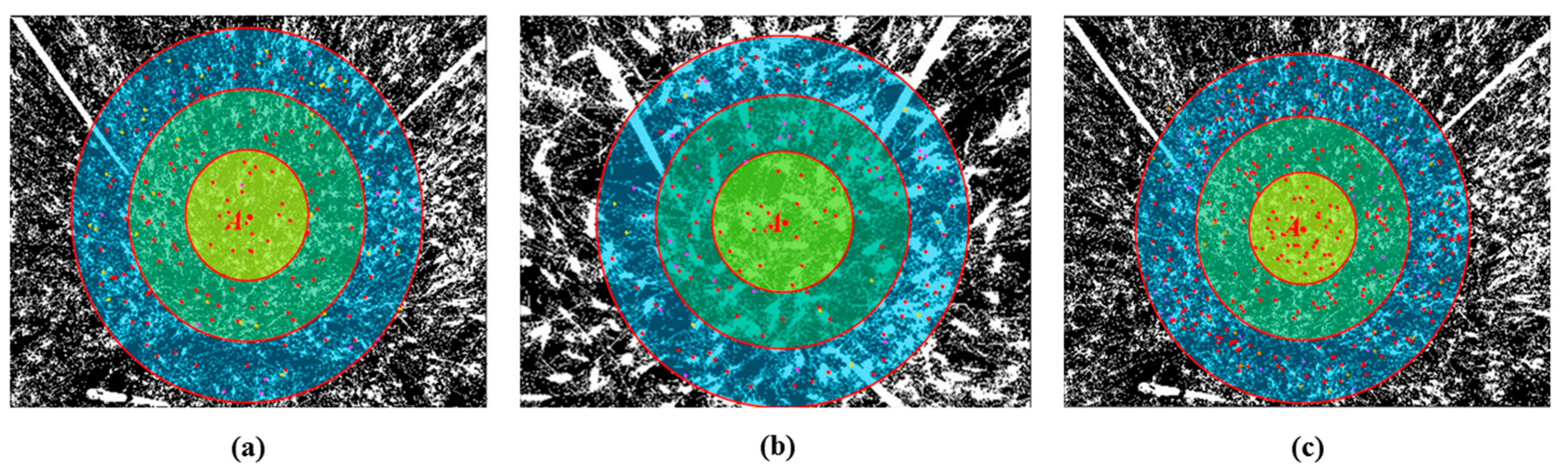 Remotesensing 10 00246 g010