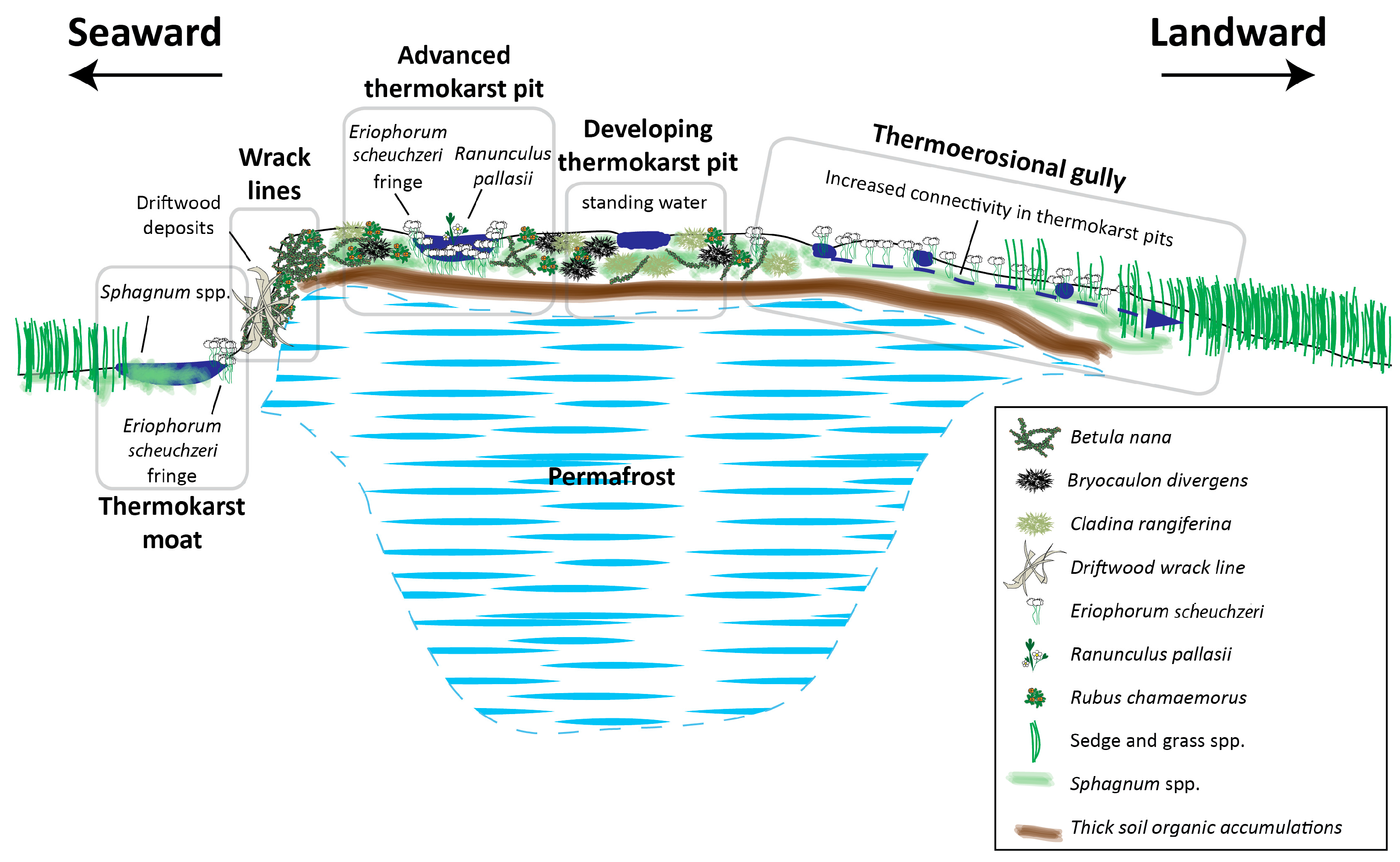 Remotesensing 10 00258 g003