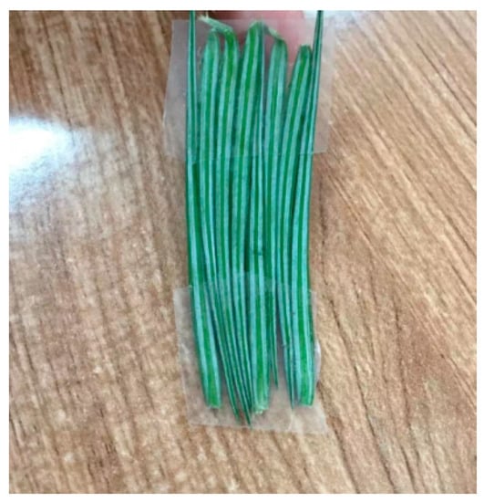 Remotesensing 10 00262 g0a4 550