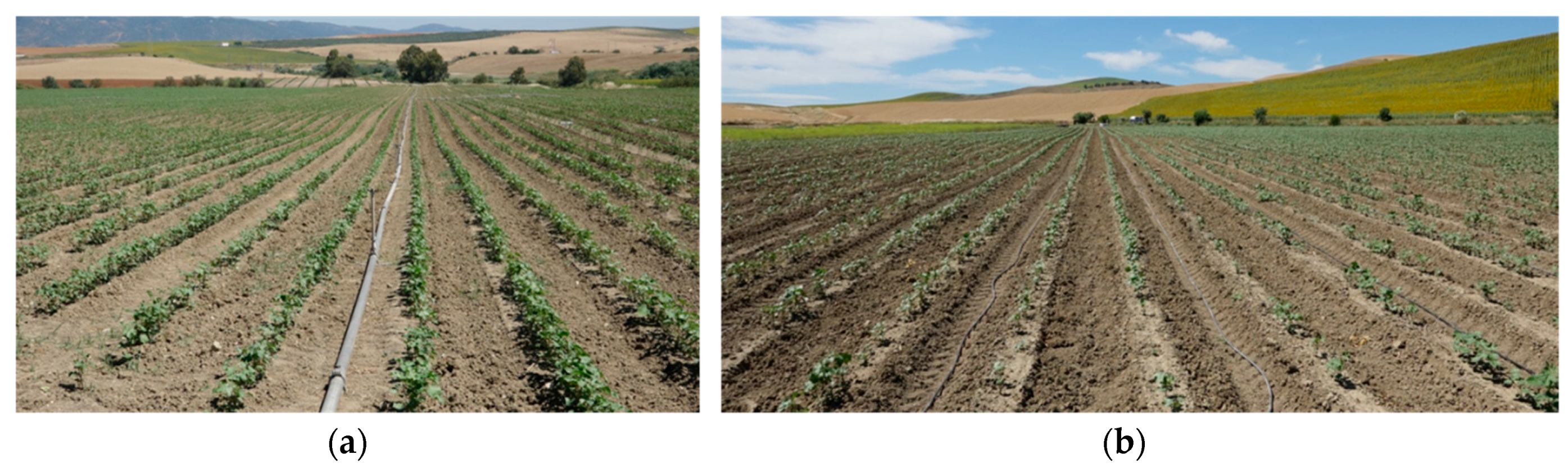 Remotesensing 10 00285 g002