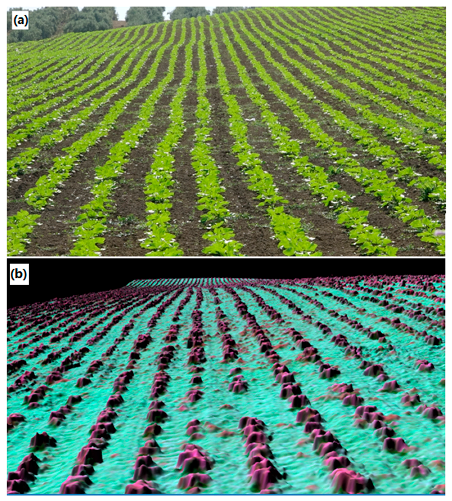 Remotesensing 10 00285 g003