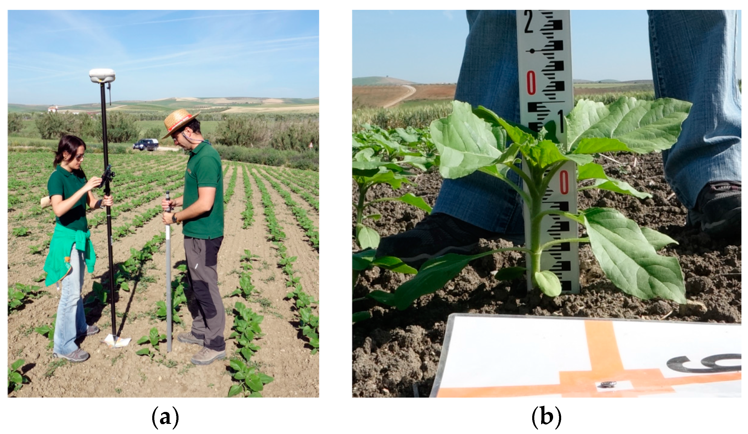 Remotesensing 10 00285 g005