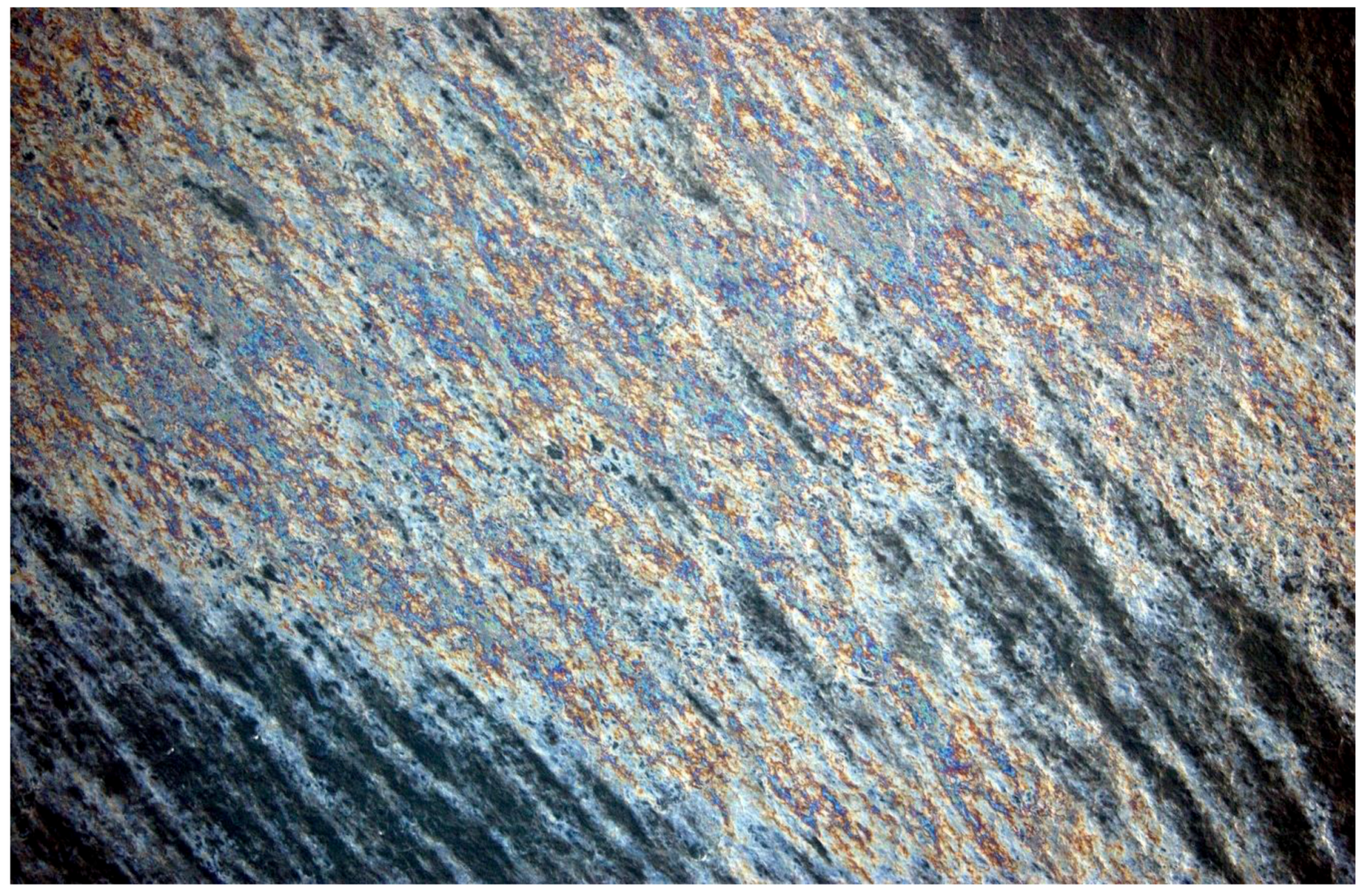 Remotesensing 10 00319 g007