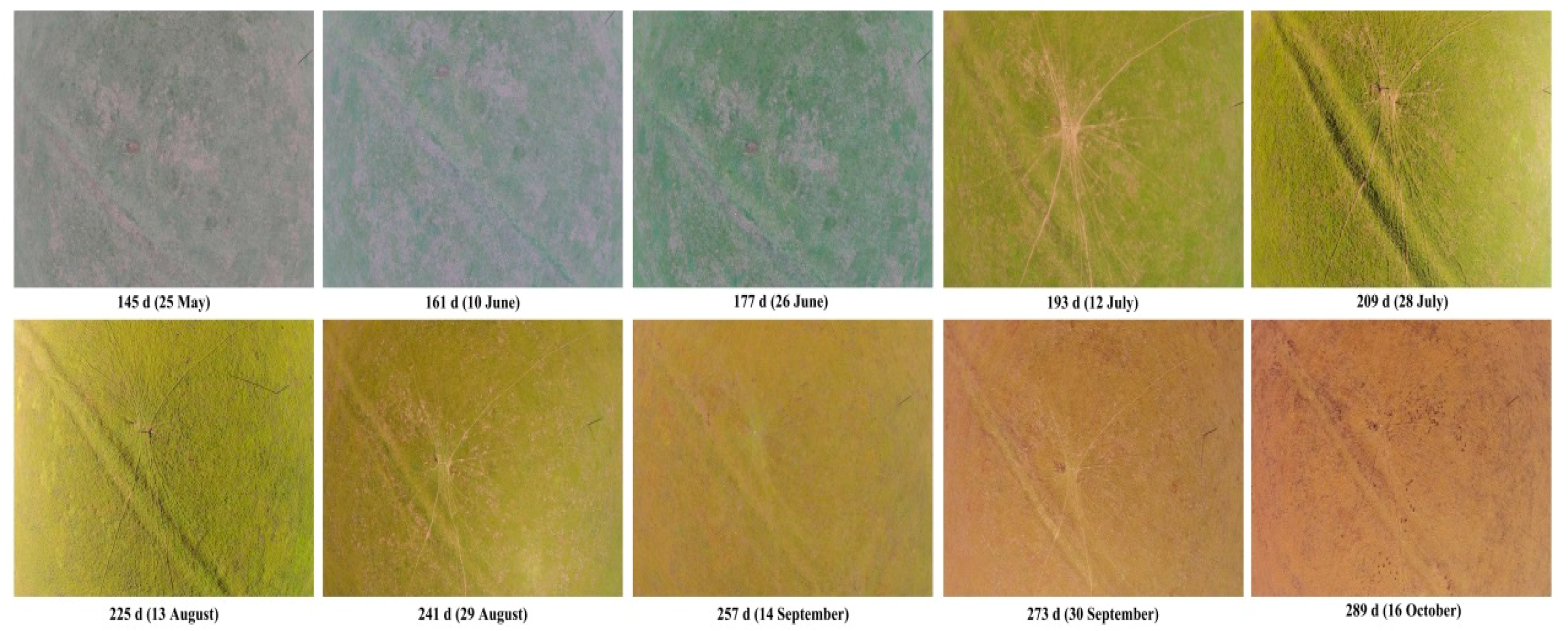 Remotesensing 10 00320 g002