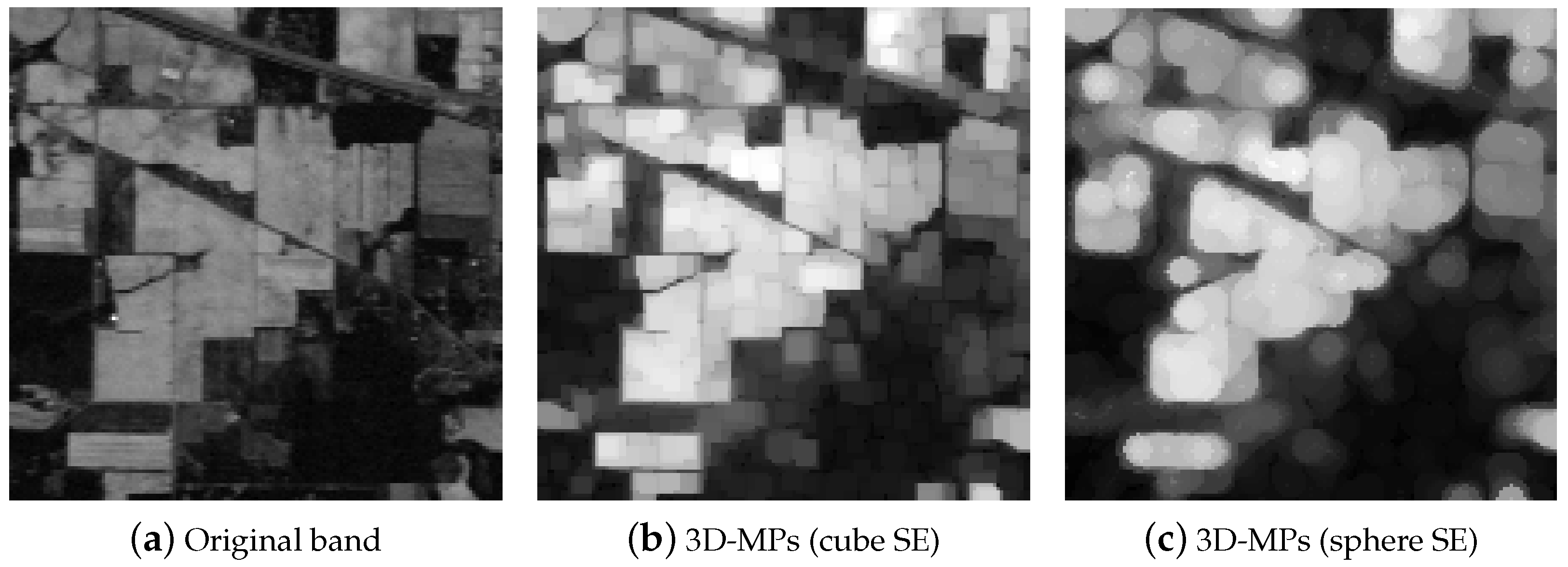 Remotesensing 10 00322 g008