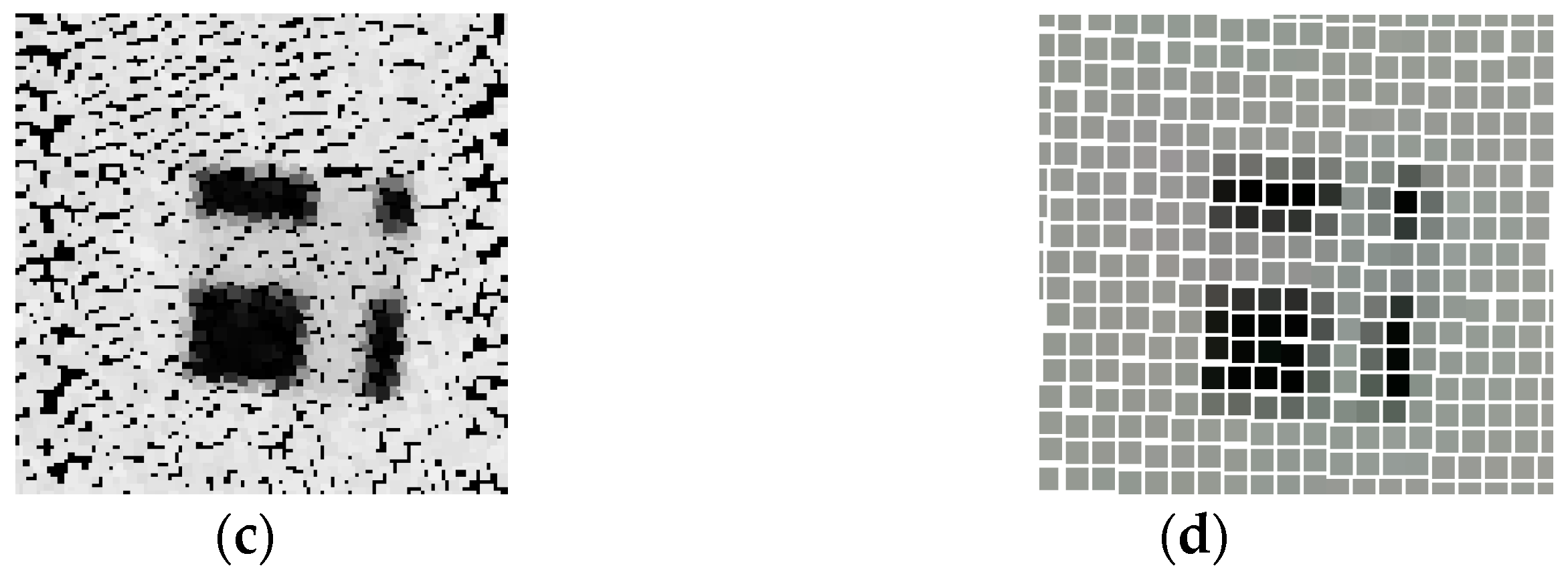 Remotesensing 10 00328 g010b