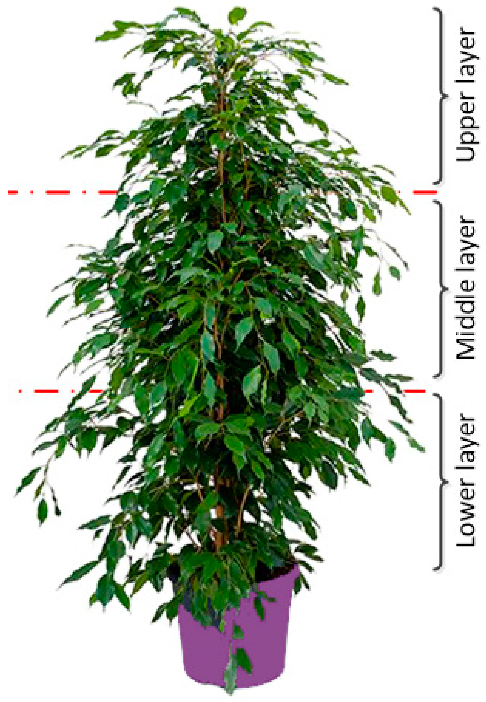 Remotesensing 10 00346 g001