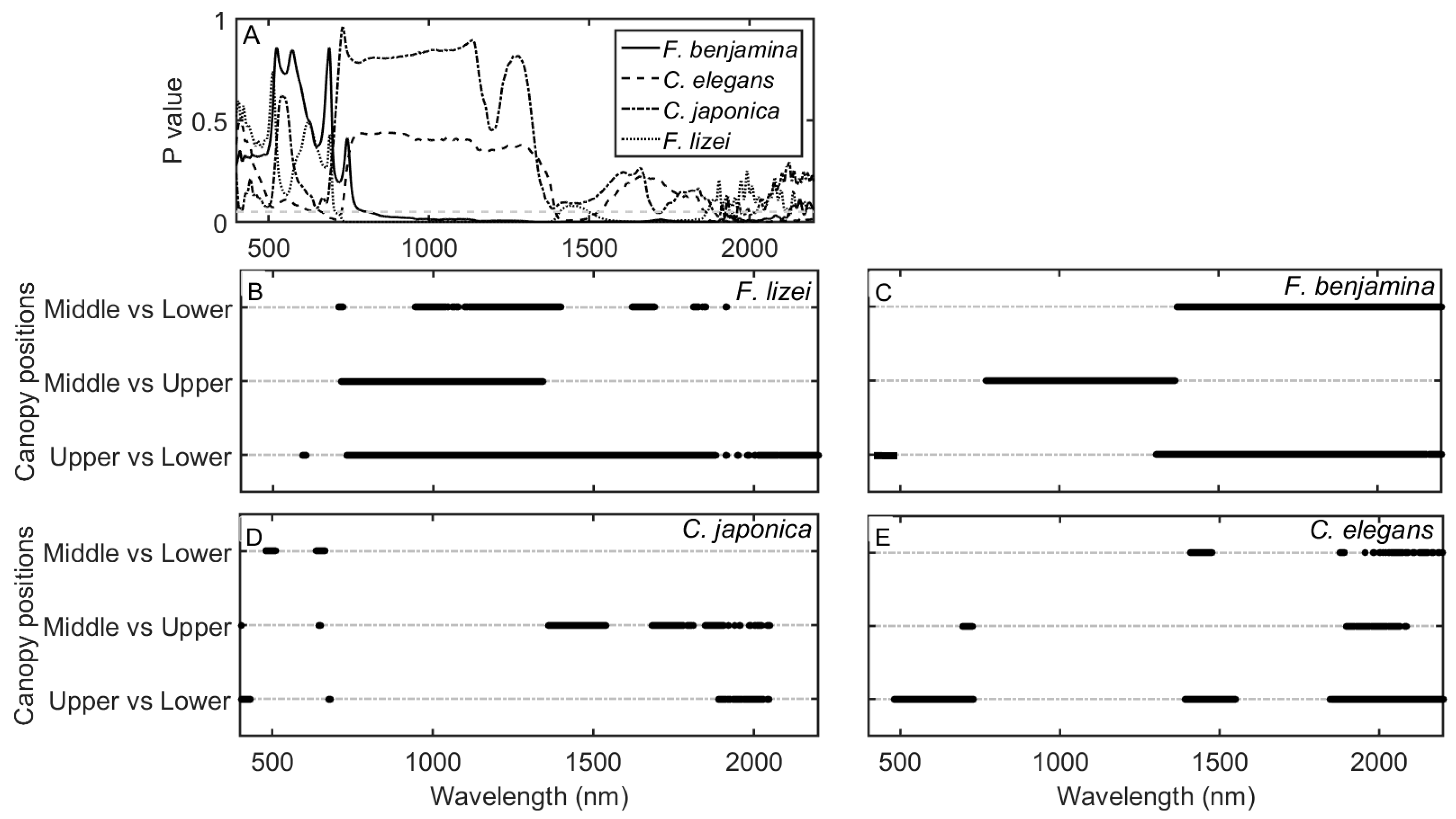 Remotesensing 10 00346 g005