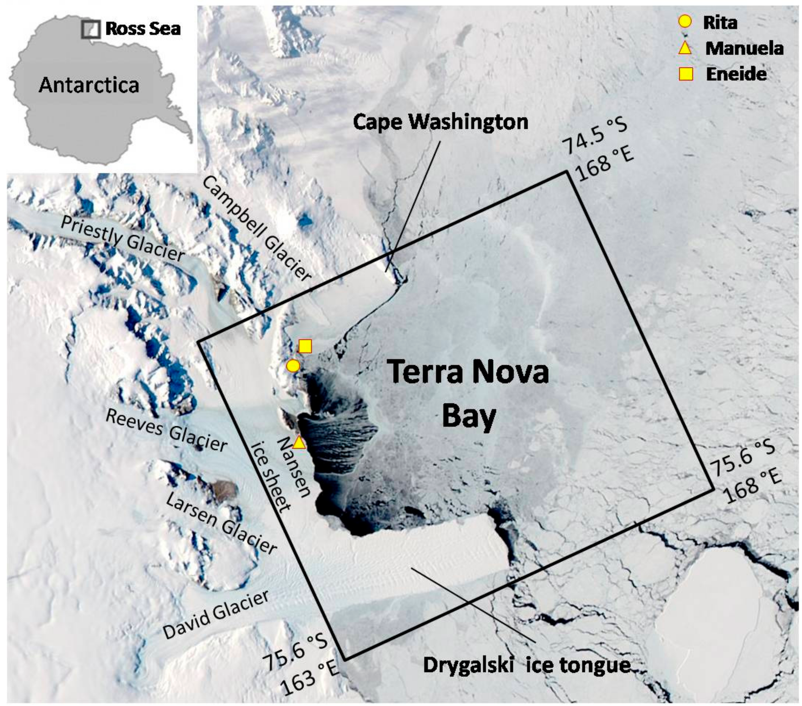 Remotesensing 10 00366 g001