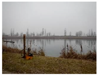 Remotesensing 10 00380 i001