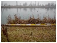 Remotesensing 10 00380 i003