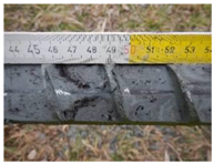 Remotesensing 10 00380 i011