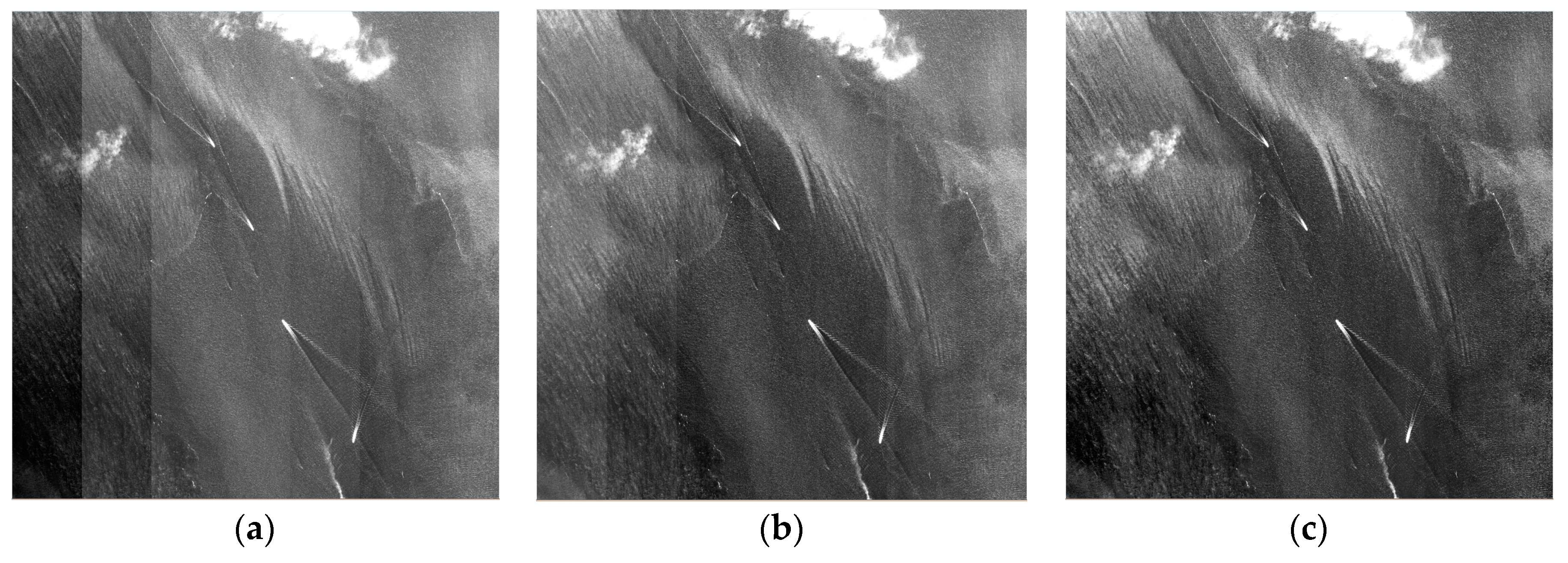 Remotesensing 10 00381 g010