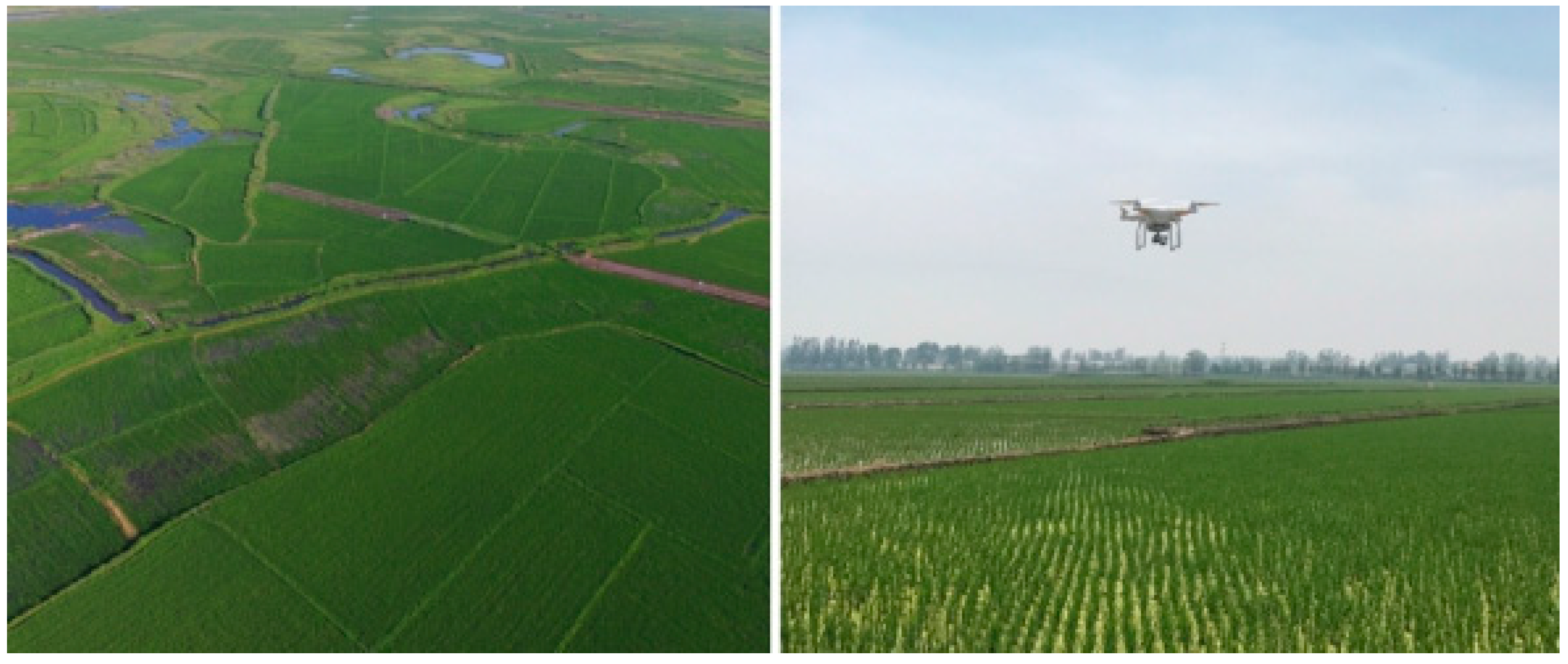 Remotesensing 10 00384 g002