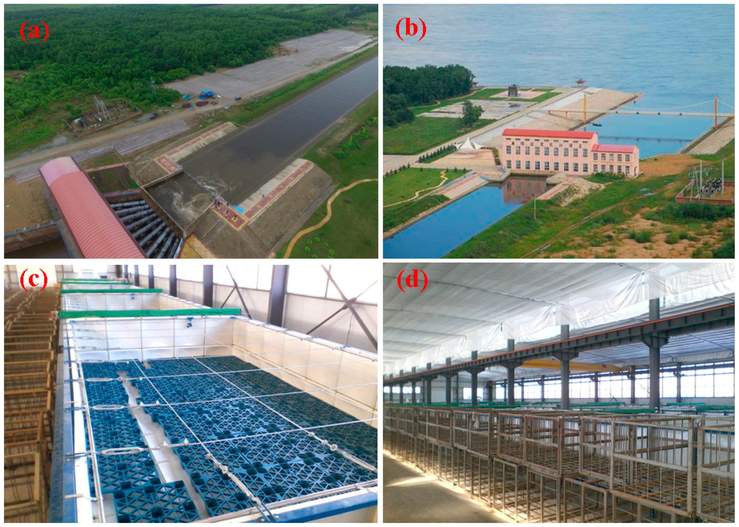 Remotesensing 10 00384 g012