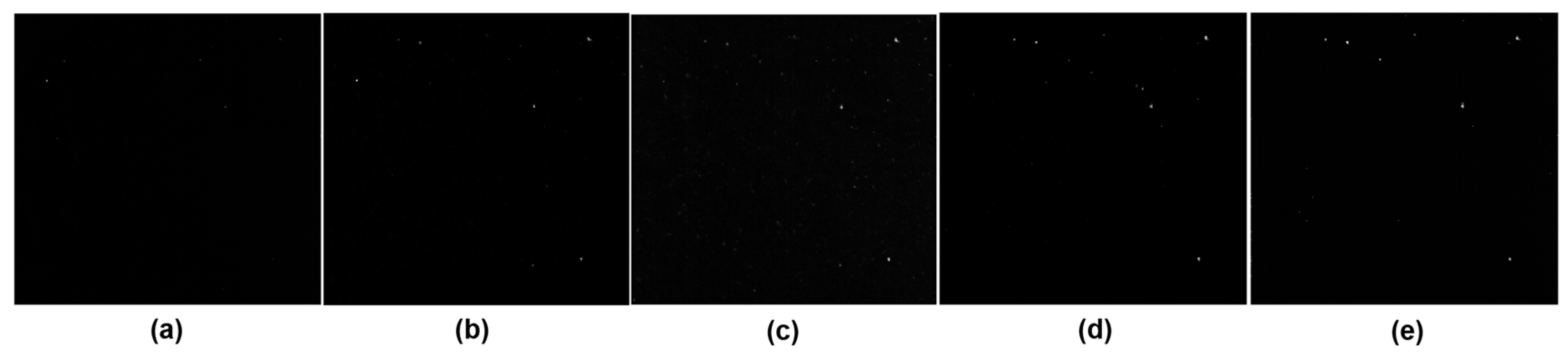 Remotesensing 10 00417 g011