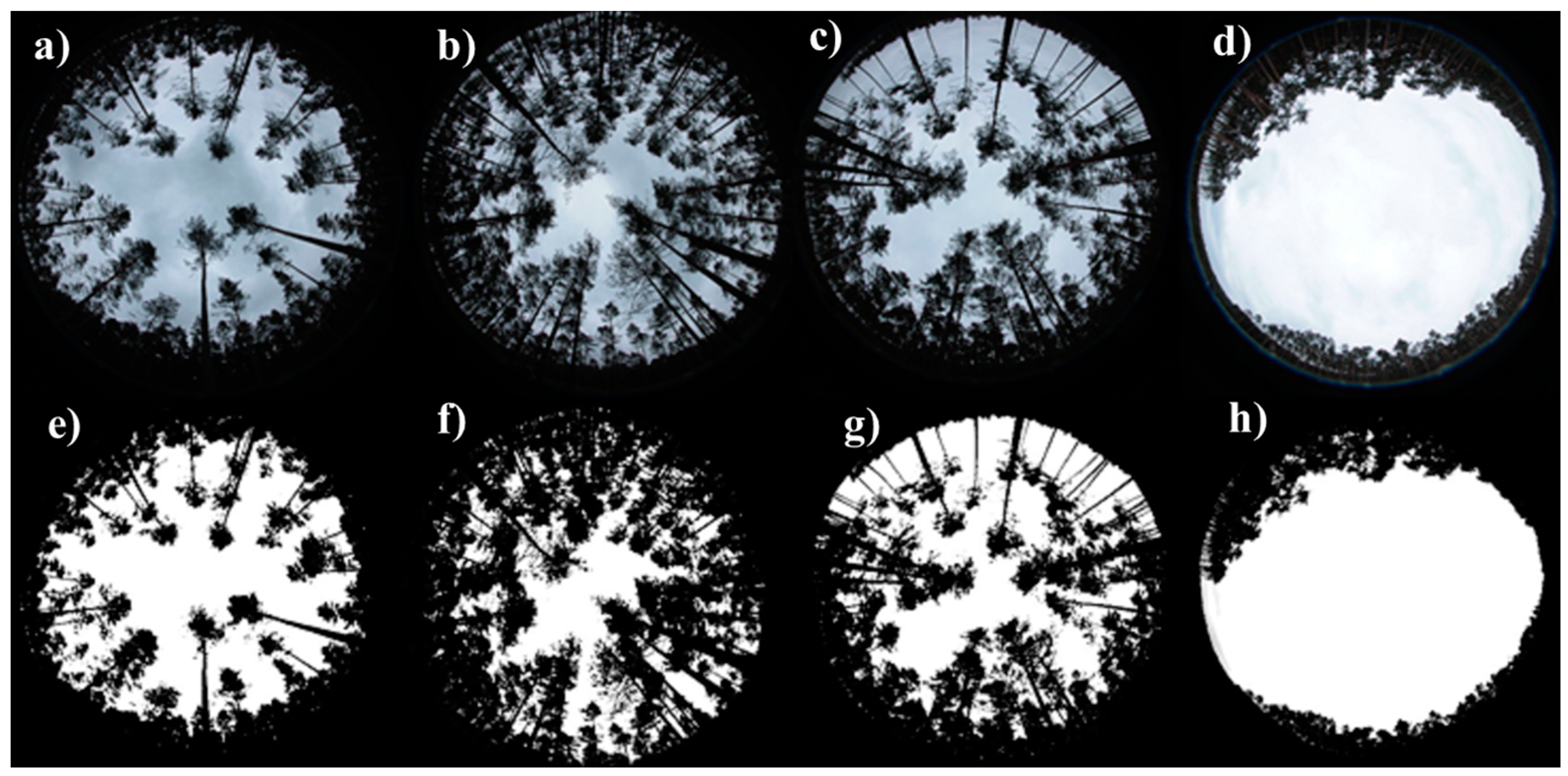 Remotesensing 10 00423 g005