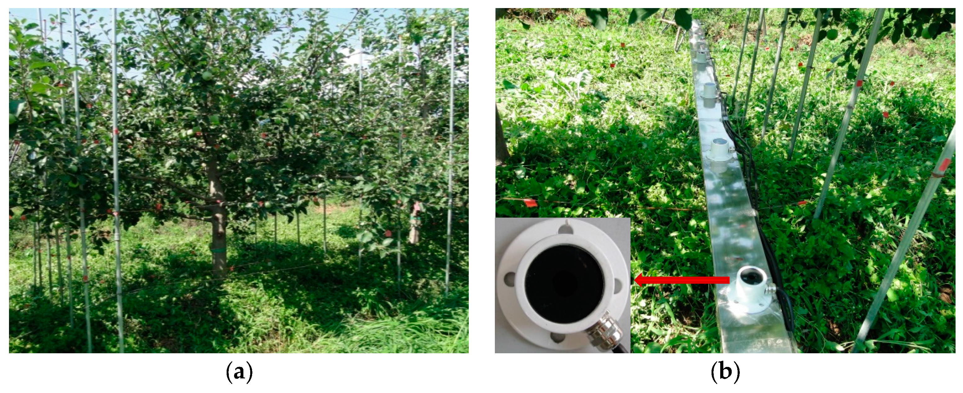 Remotesensing 10 00429 g003