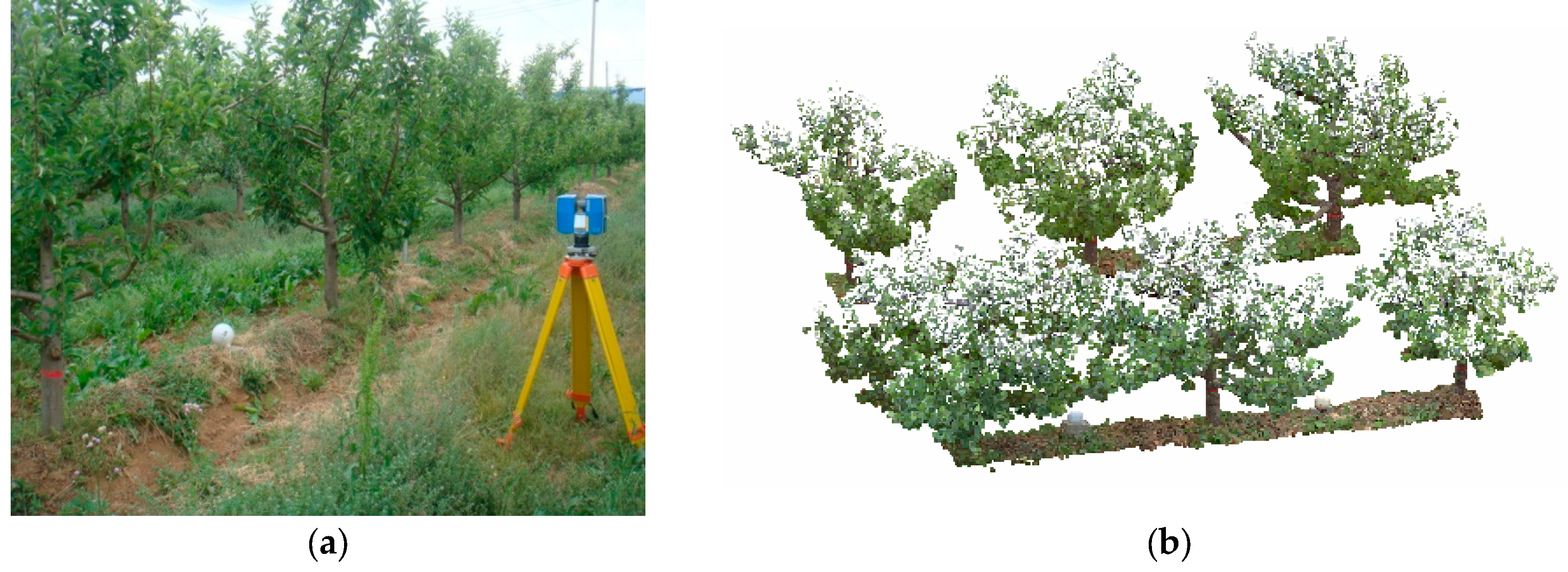 Remotesensing 10 00429 g004