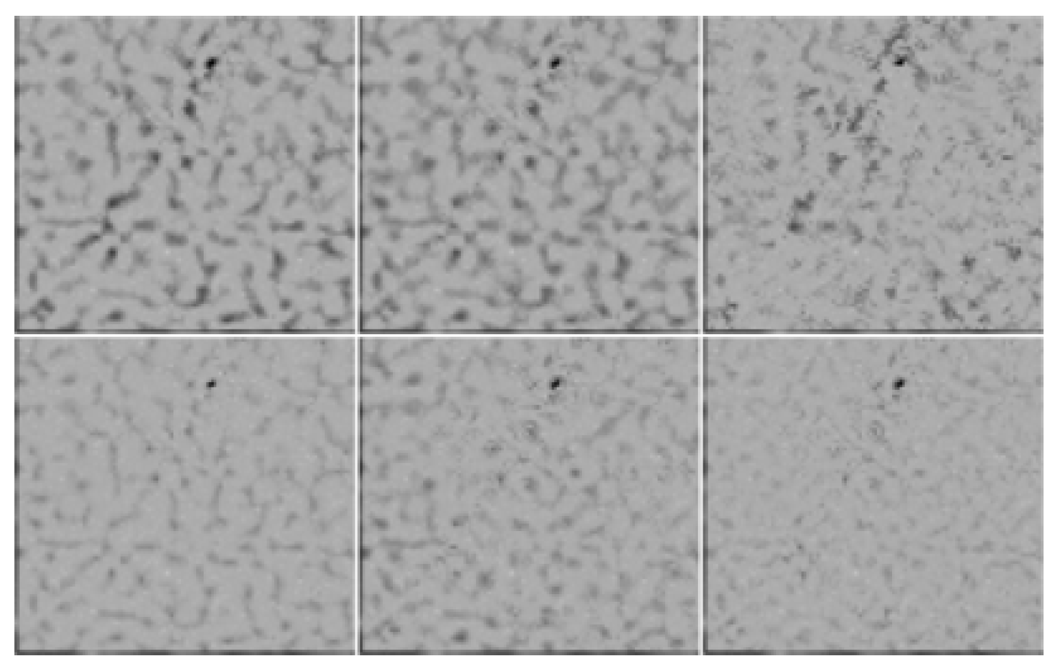 Remotesensing 10 00439 g008