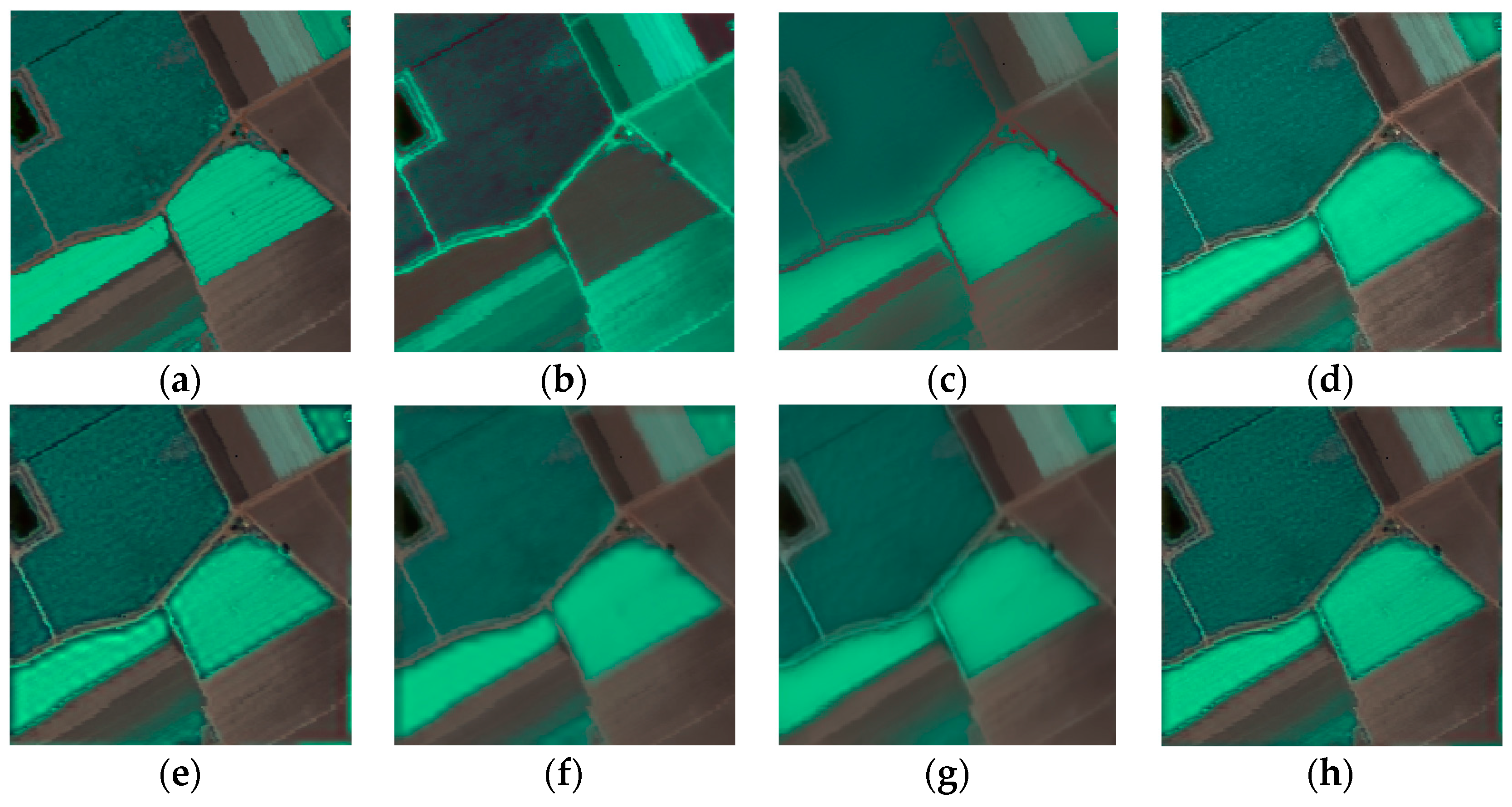 Remotesensing 10 00445 g005