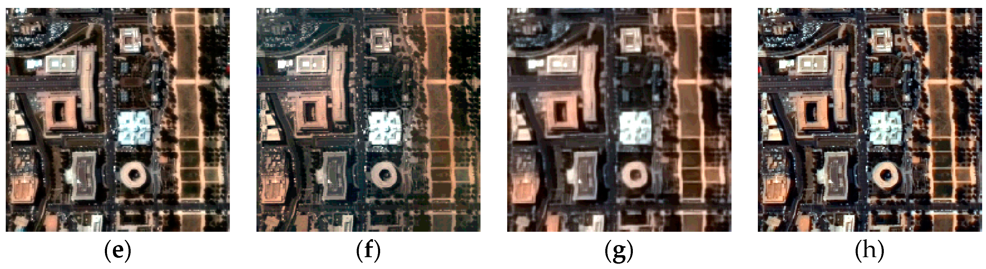 Remotesensing 10 00445 g009b