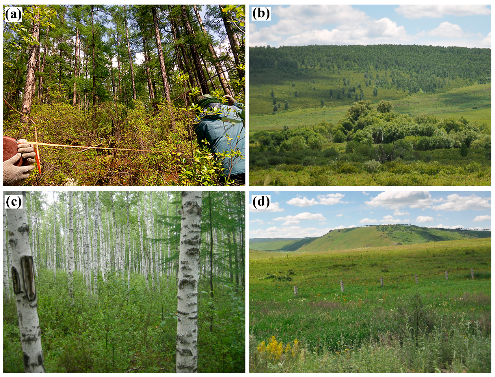 Remotesensing 10 00449 g002