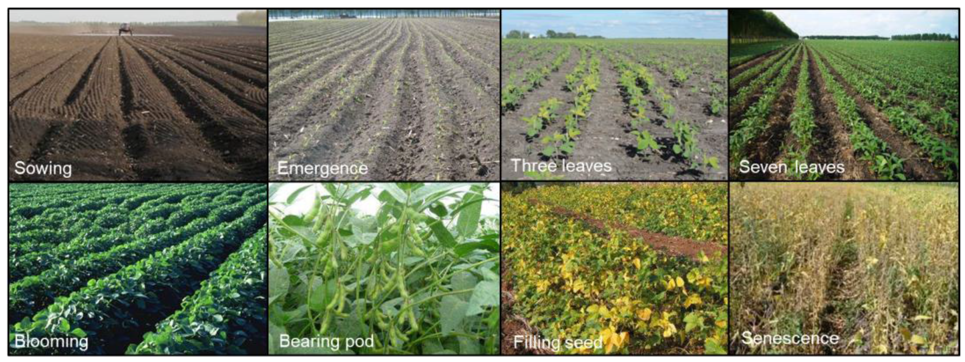 Remotesensing 10 00491 g002