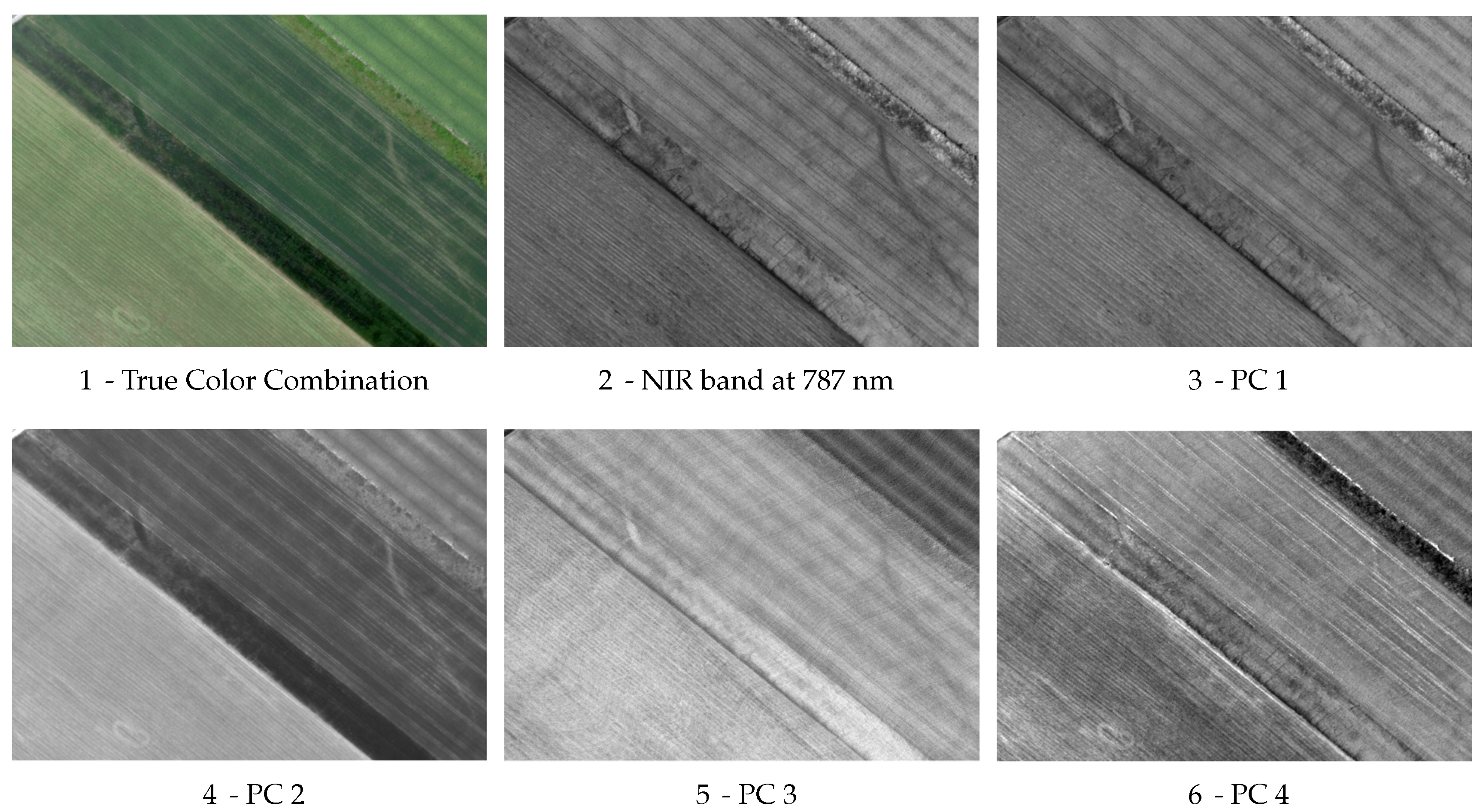 Remotesensing 10 00500 g006