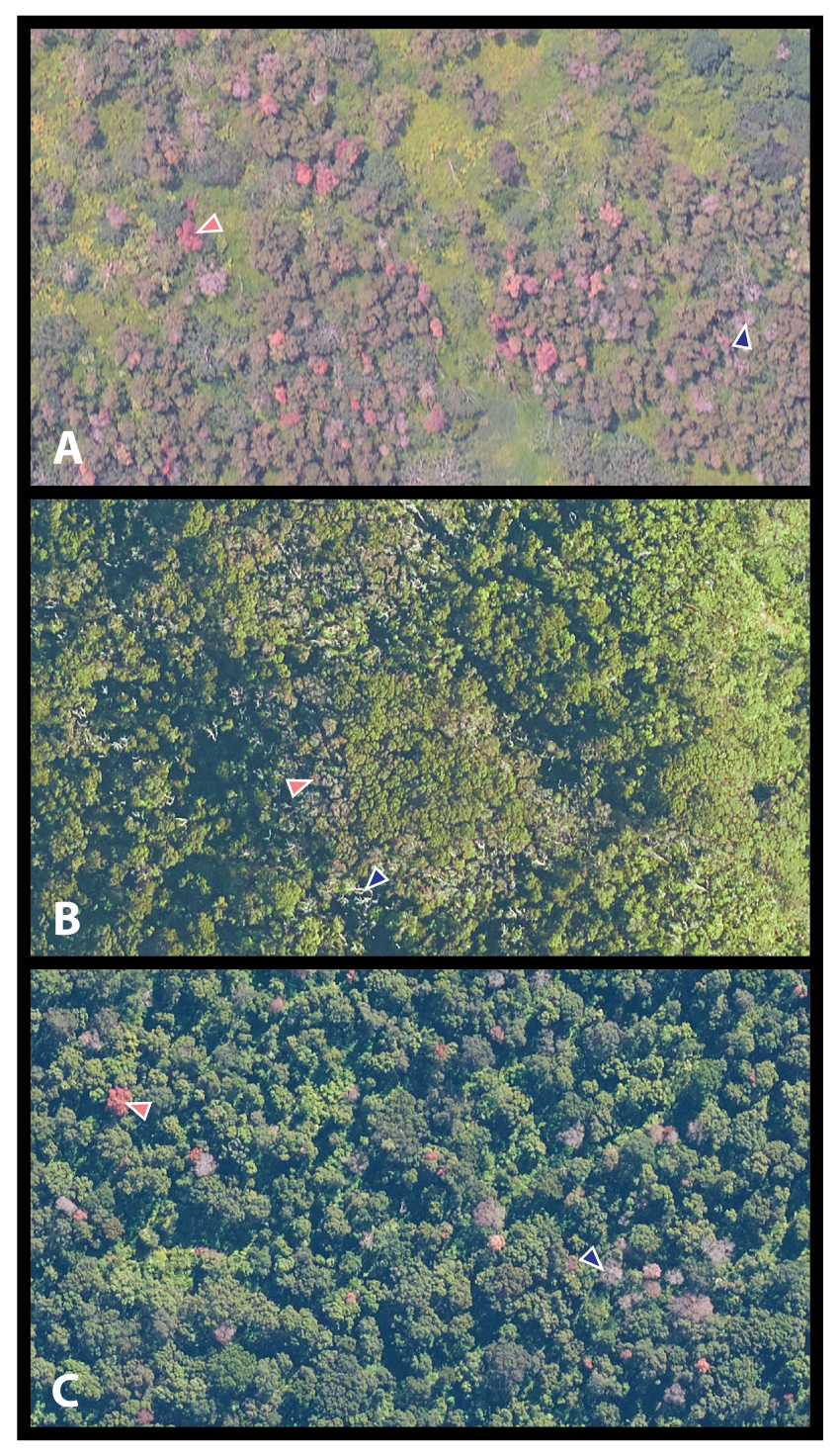 Remotesensing 10 00502 g001