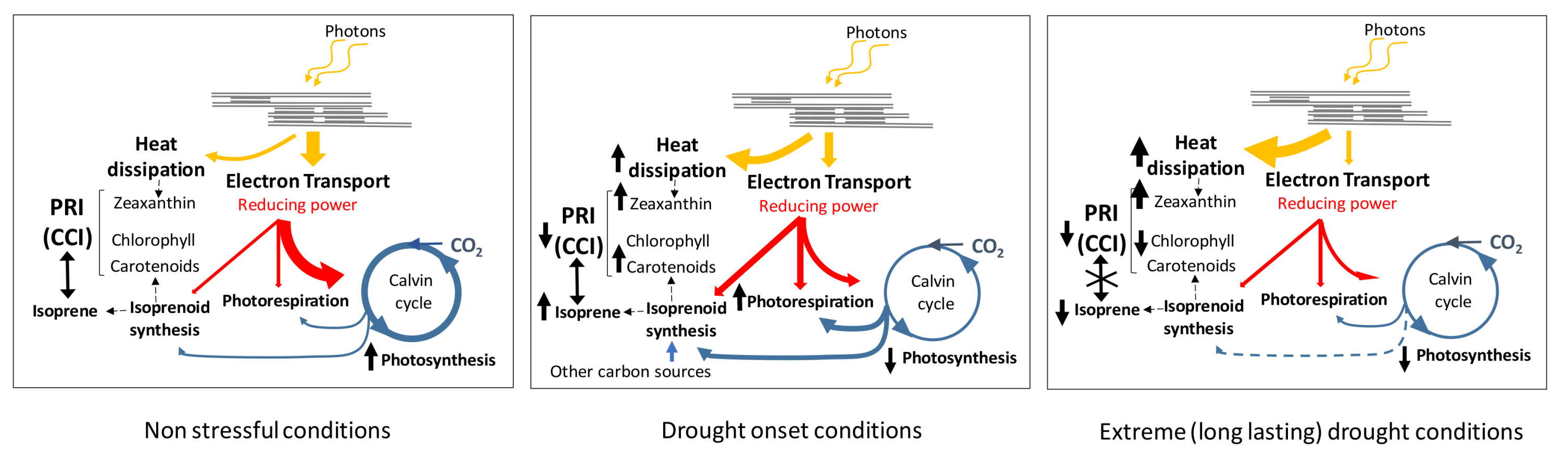 Remotesensing 10 00557 g009