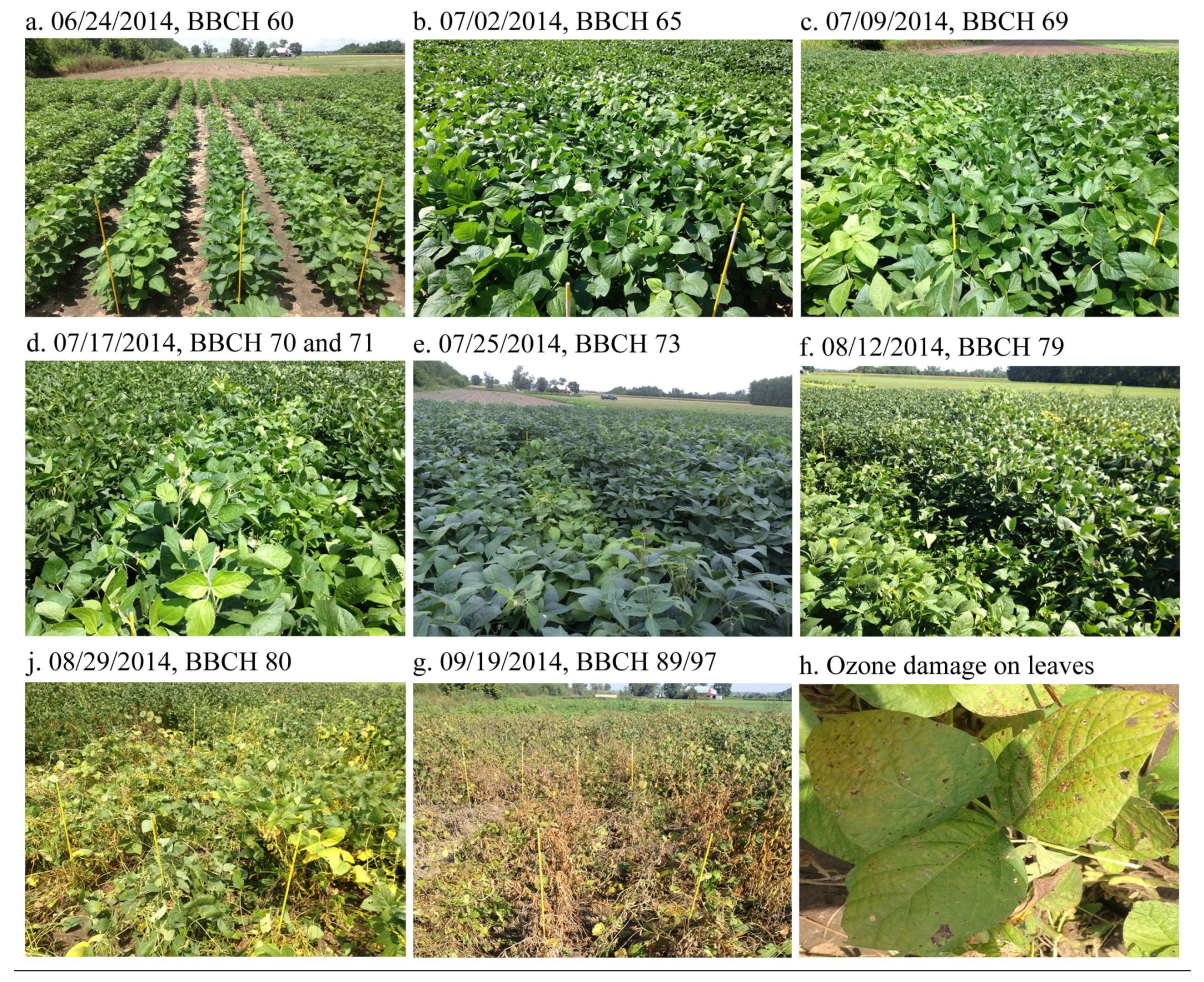 Remotesensing 10 00562 g001