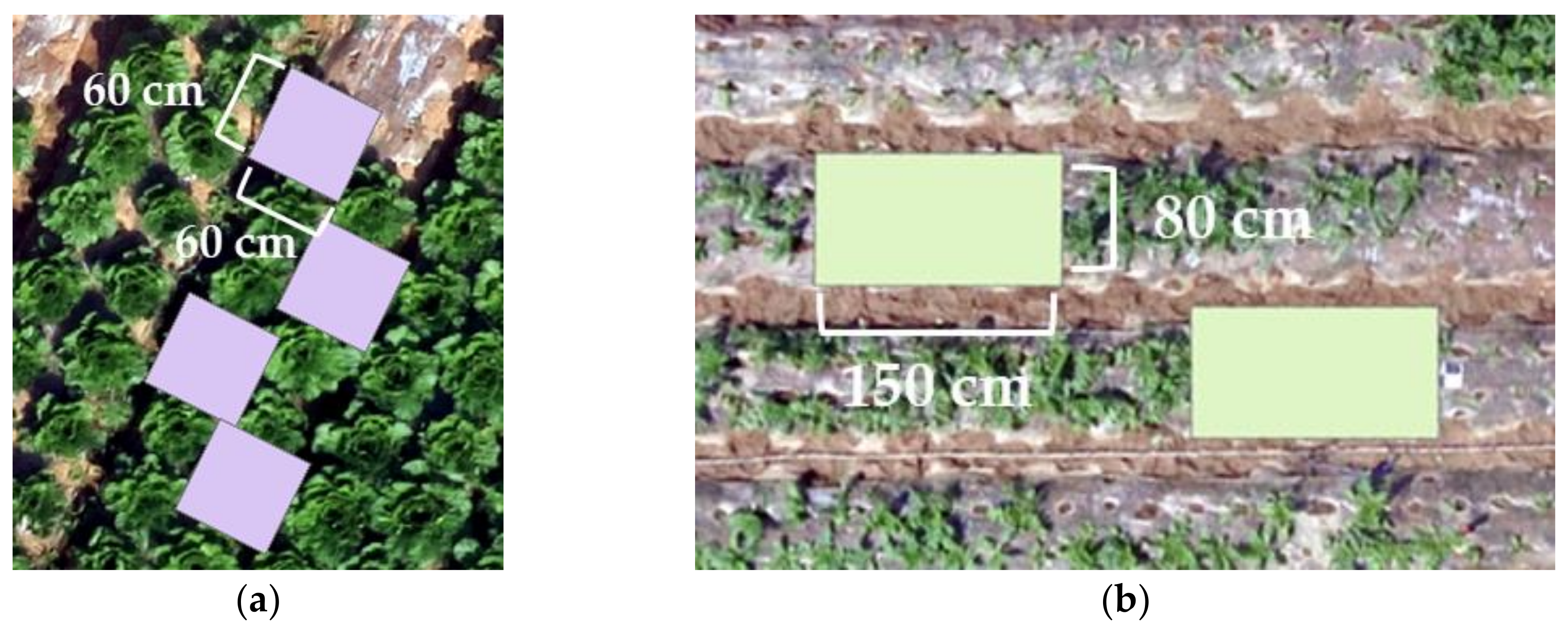 Remotesensing 10 00563 g004