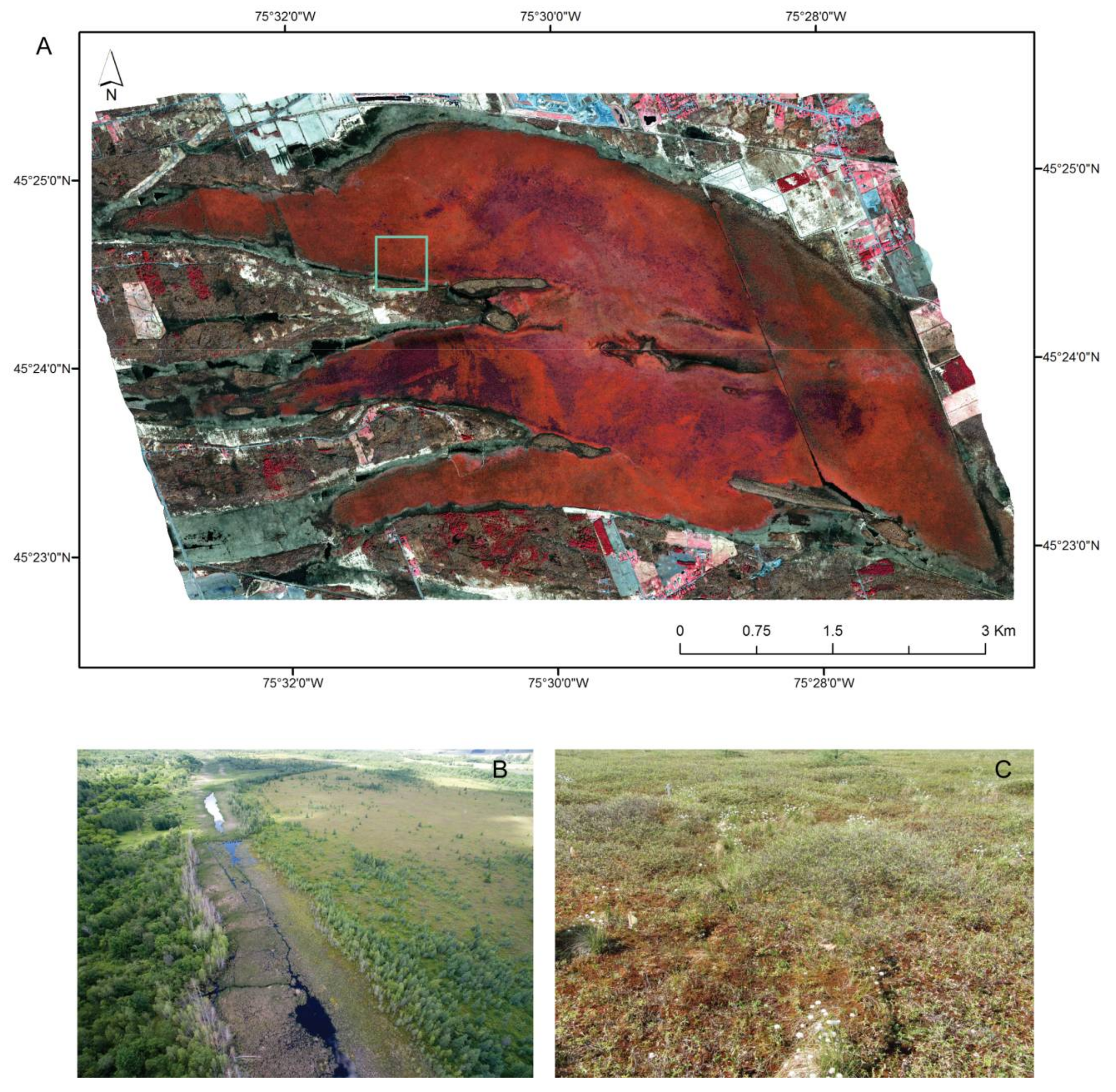 Remotesensing 10 00565 g001