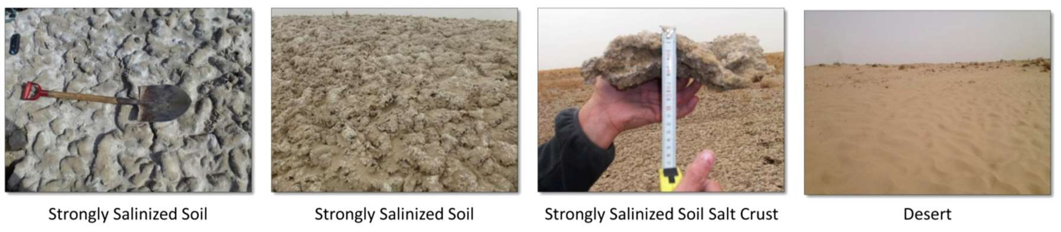 Remotesensing 10 00598 g002a