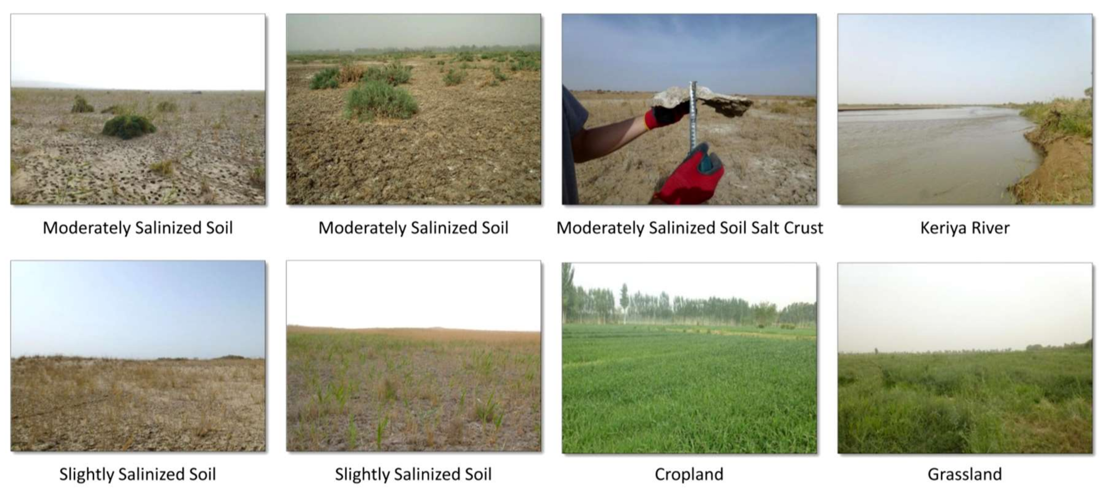 Remotesensing 10 00598 g002b