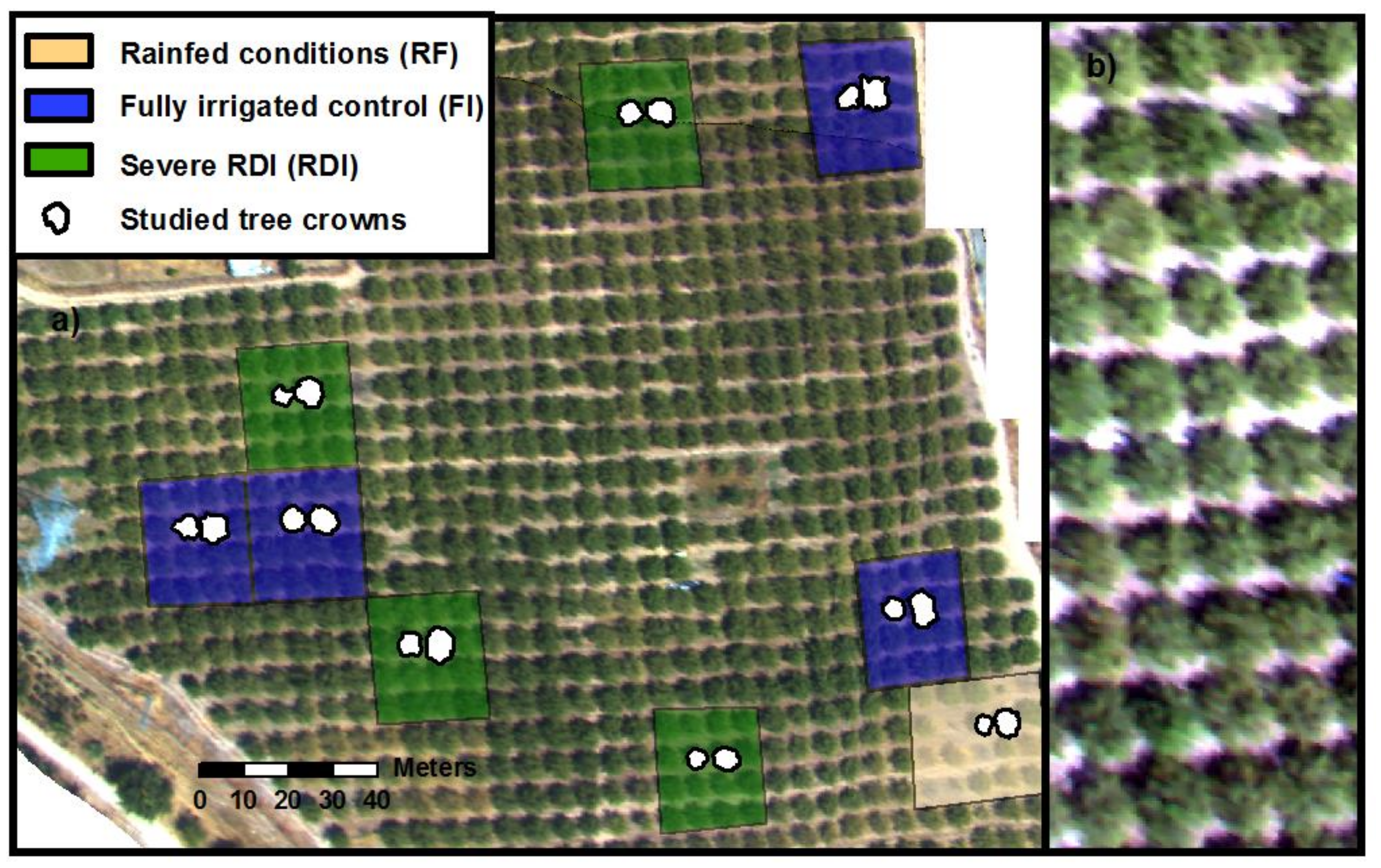 Remotesensing 10 00604 g001