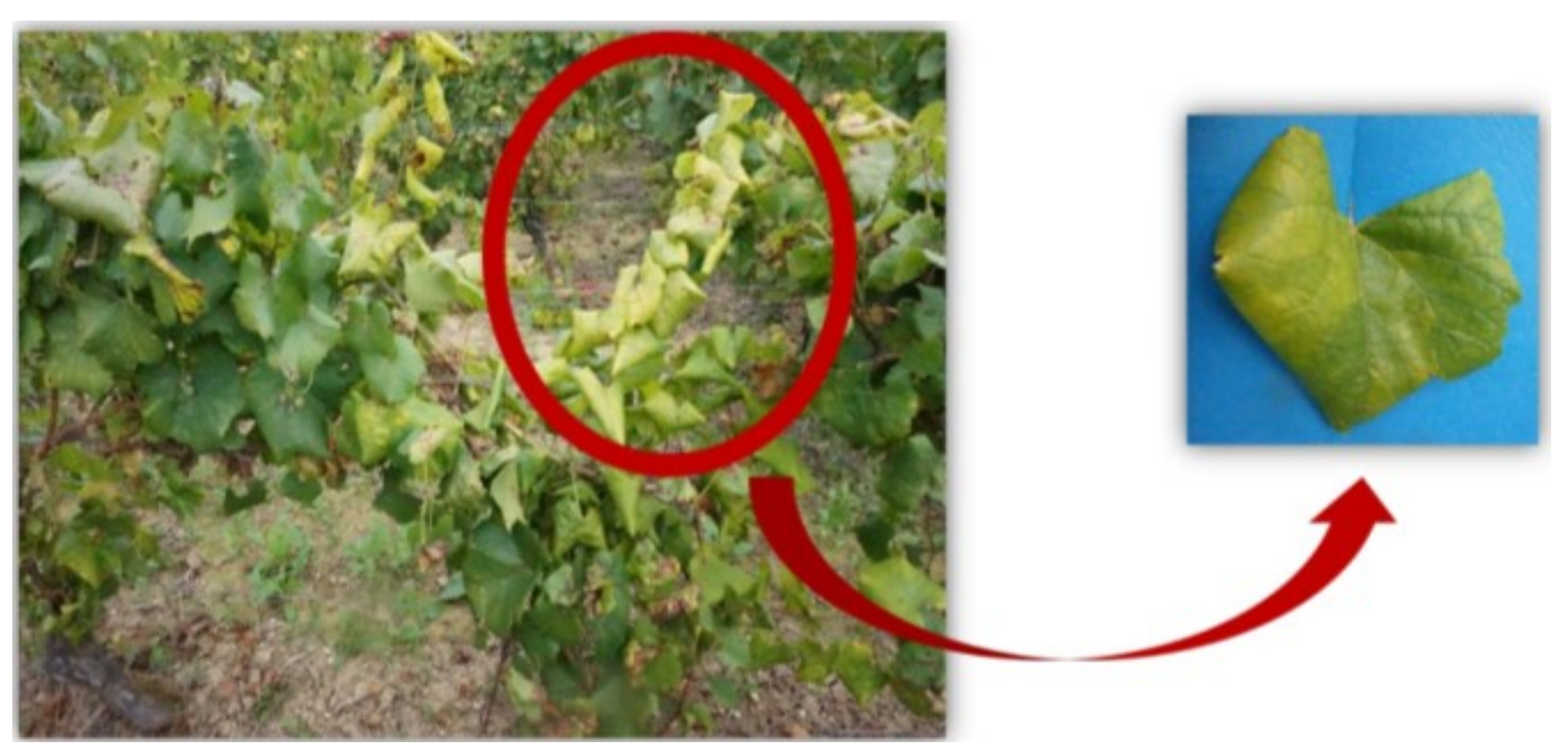 Remotesensing 10 00618 g002