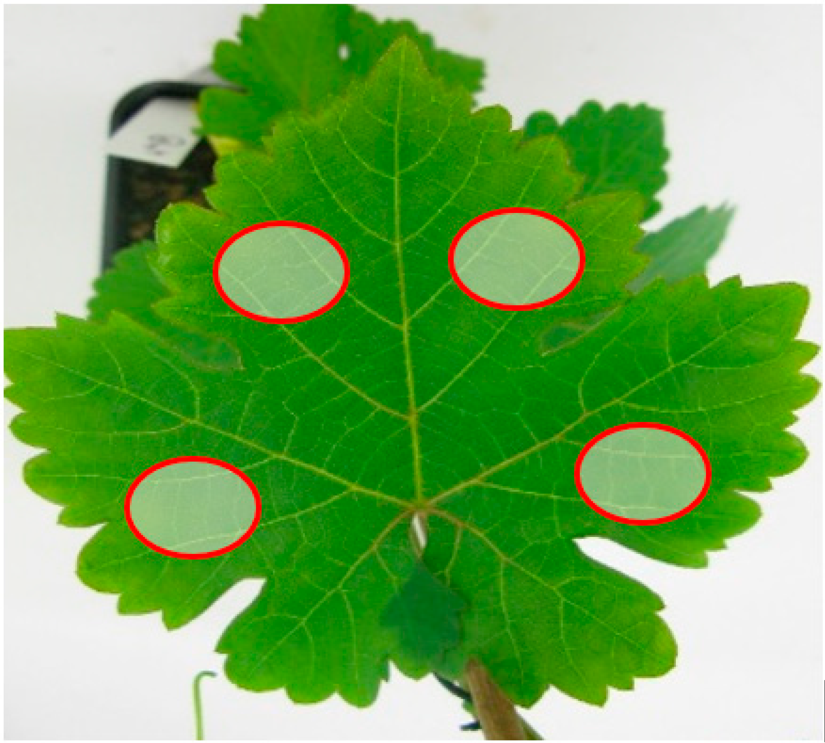 Remotesensing 10 00618 g004