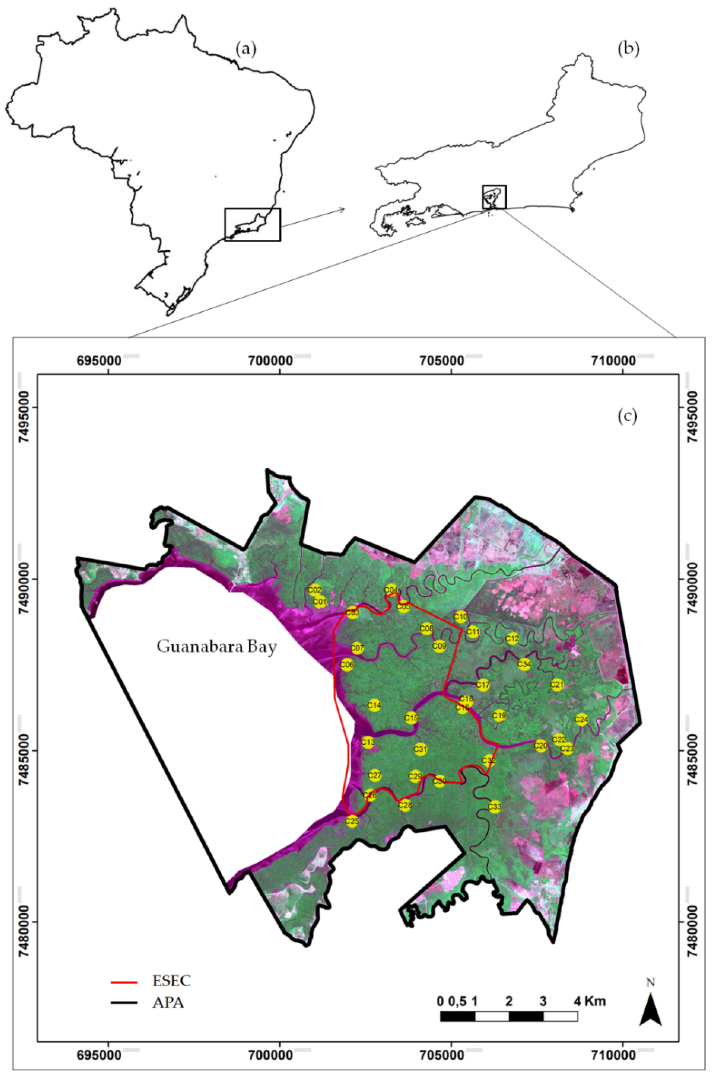 Remotesensing 10 00637 g001