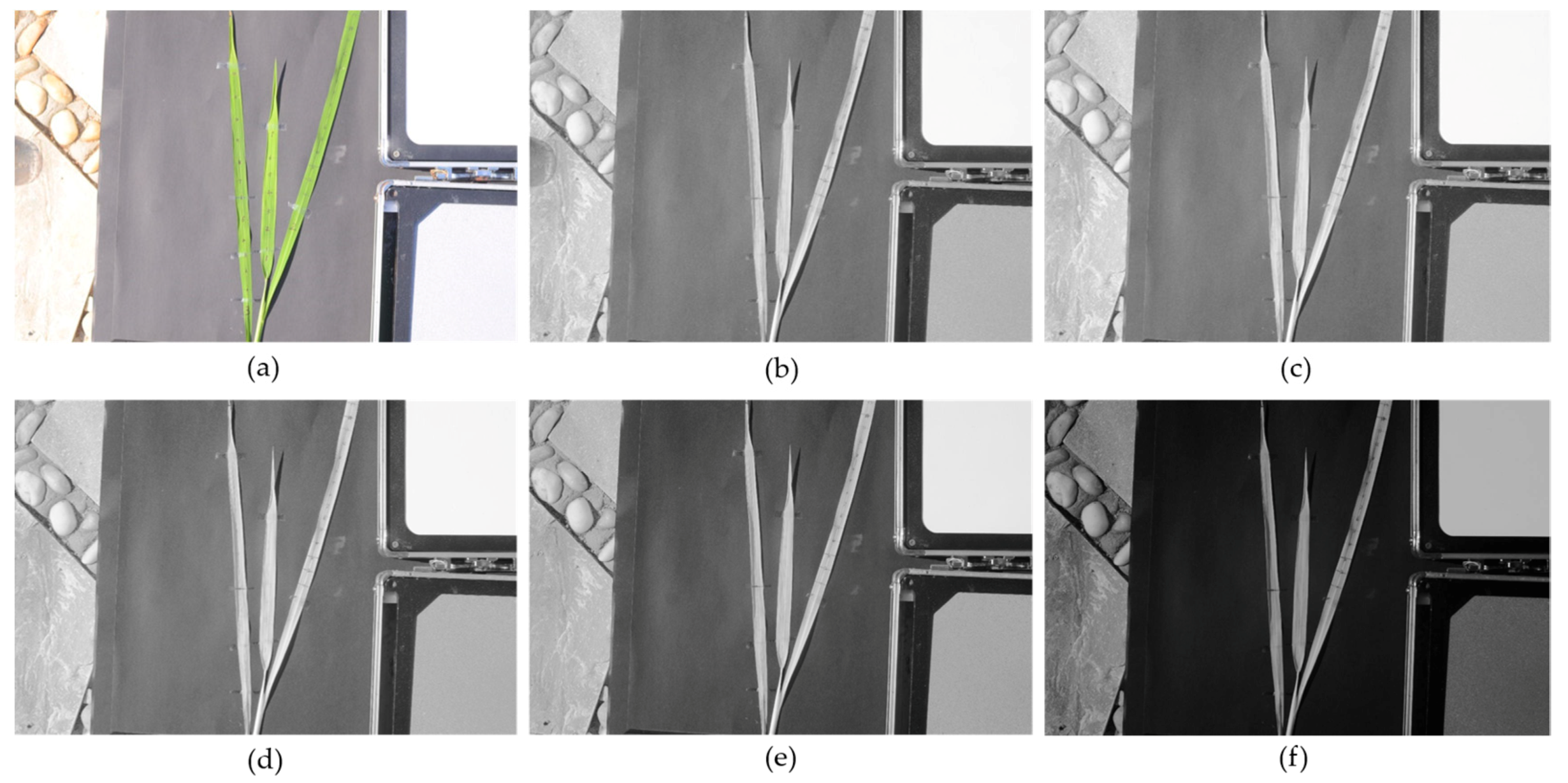 Remotesensing 10 00663 g002