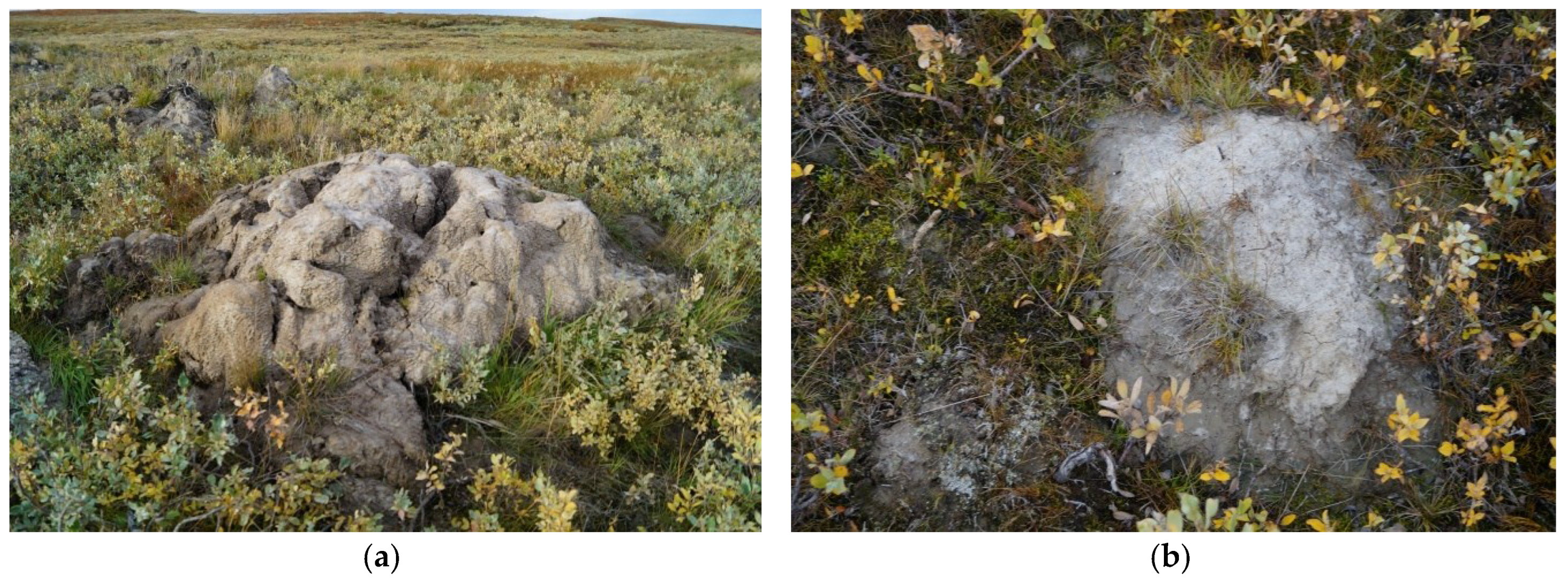 Remotesensing 10 00677 g003